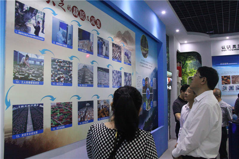 中國靈芝十大品牌|仙客來靈芝|仙客來靈芝破壁孢子粉|仙客來孢子油|仙客來靈芝飲片|仙客來破壁孢子粉|仙客來靈芝中藥飲片|馳名商標|m.tianyabagua.cn|