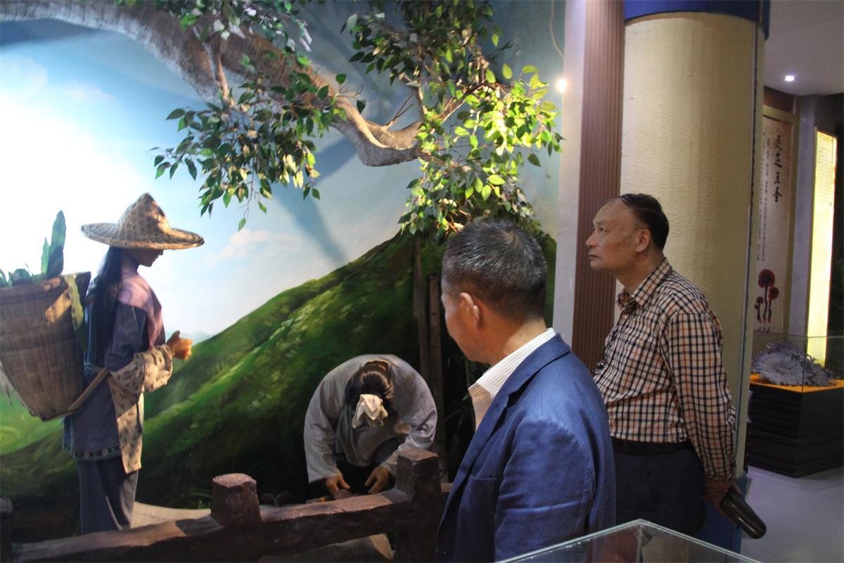 中國(guó)靈芝十大品牌|仙客來(lái)靈芝|仙客來(lái)靈芝破壁孢子粉|仙客來(lái)孢子油|仙客來(lái)靈芝飲片|仙客來(lái)破壁孢子粉|仙客來(lái)靈芝中藥飲片|馳名商標(biāo)|m.tianyabagua.cn|