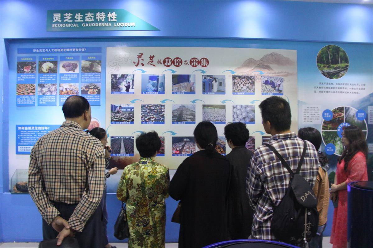 中國(guó)靈芝十大品牌|仙客來(lái)靈芝|仙客來(lái)靈芝破壁孢子粉|仙客來(lái)孢子油|仙客來(lái)靈芝飲片|仙客來(lái)破壁孢子粉|仙客來(lái)靈芝中藥飲片|馳名商標(biāo)|m.tianyabagua.cn|