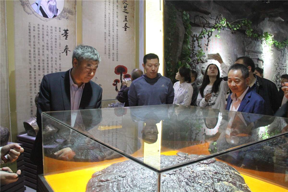 中國(guó)靈芝十大品牌|仙客來(lái)靈芝|仙客來(lái)靈芝破壁孢子粉|仙客來(lái)孢子油|仙客來(lái)靈芝飲片|仙客來(lái)破壁孢子粉|仙客來(lái)靈芝中藥飲片|馳名商標(biāo)|m.tianyabagua.cn|