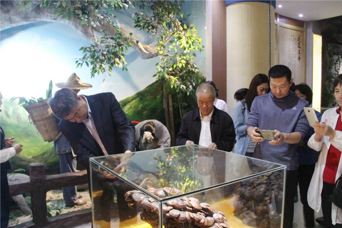 中國(guó)靈芝十大品牌|仙客來(lái)靈芝|仙客來(lái)靈芝破壁孢子粉|仙客來(lái)孢子油|仙客來(lái)靈芝飲片|仙客來(lái)破壁孢子粉|仙客來(lái)靈芝中藥飲片|馳名商標(biāo)|m.tianyabagua.cn|