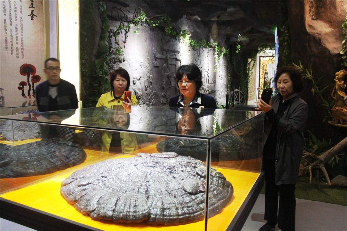 中國靈芝十大品牌|仙客來靈芝|仙客來靈芝破壁孢子粉|仙客來孢子油|仙客來靈芝飲片|仙客來破壁孢子粉|仙客來靈芝中藥飲片|馳名商標(biāo)|m.tianyabagua.cn| 中國靈芝十大品牌|仙客來靈芝|仙客來靈芝破壁孢子粉|仙客來孢子油|仙客來靈芝飲片|仙客來破壁孢子粉|仙客來靈芝中藥飲片|馳名商標(biāo)|m.tianyabagua.cn|