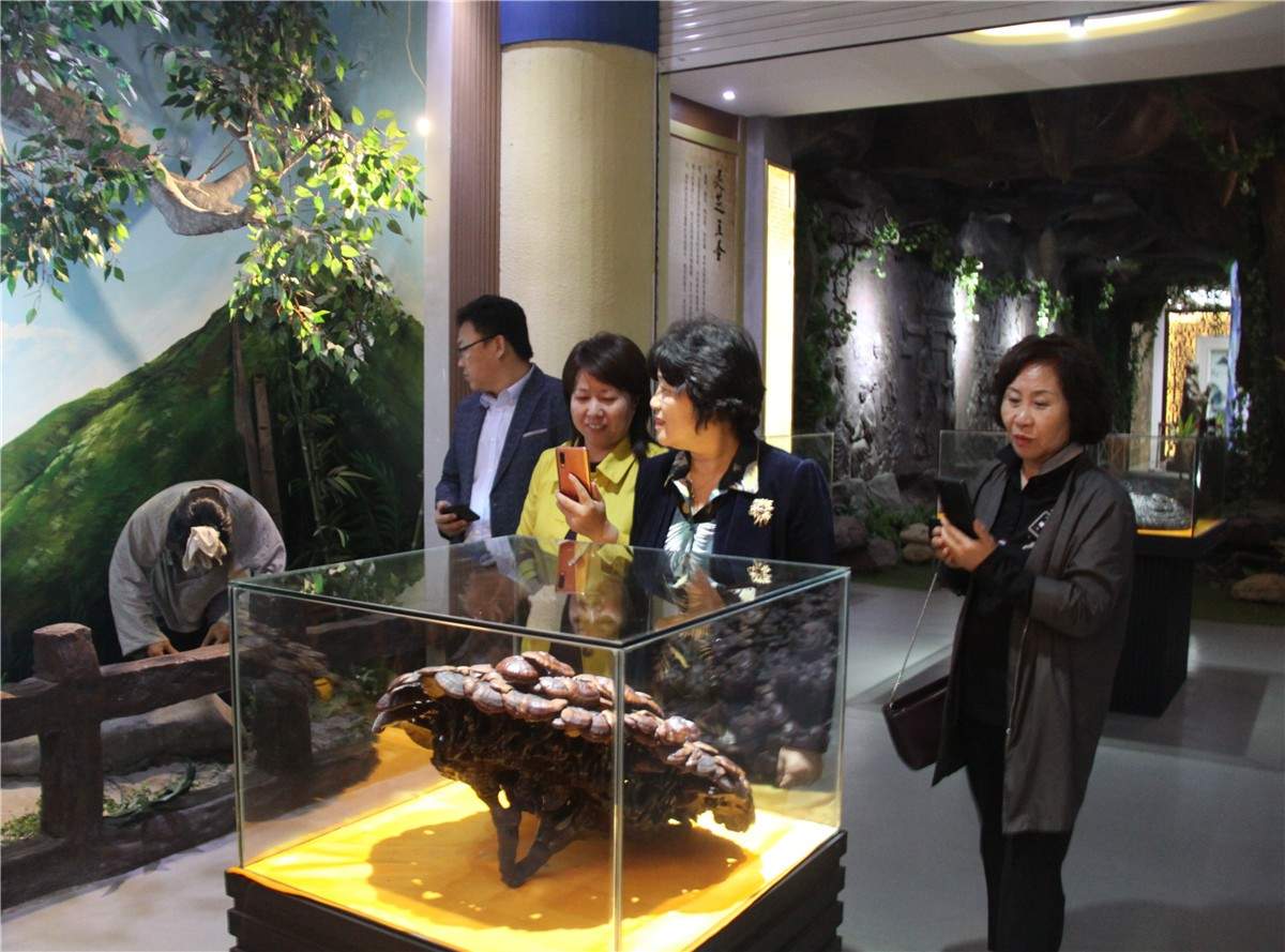 中國靈芝十大品牌|仙客來靈芝|仙客來靈芝破壁孢子粉|仙客來孢子油|仙客來靈芝飲片|仙客來破壁孢子粉|仙客來靈芝中藥飲片|馳名商標(biāo)|m.tianyabagua.cn| 中國靈芝十大品牌|仙客來靈芝|仙客來靈芝破壁孢子粉|仙客來孢子油|仙客來靈芝飲片|仙客來破壁孢子粉|仙客來靈芝中藥飲片|馳名商標(biāo)|m.tianyabagua.cn|