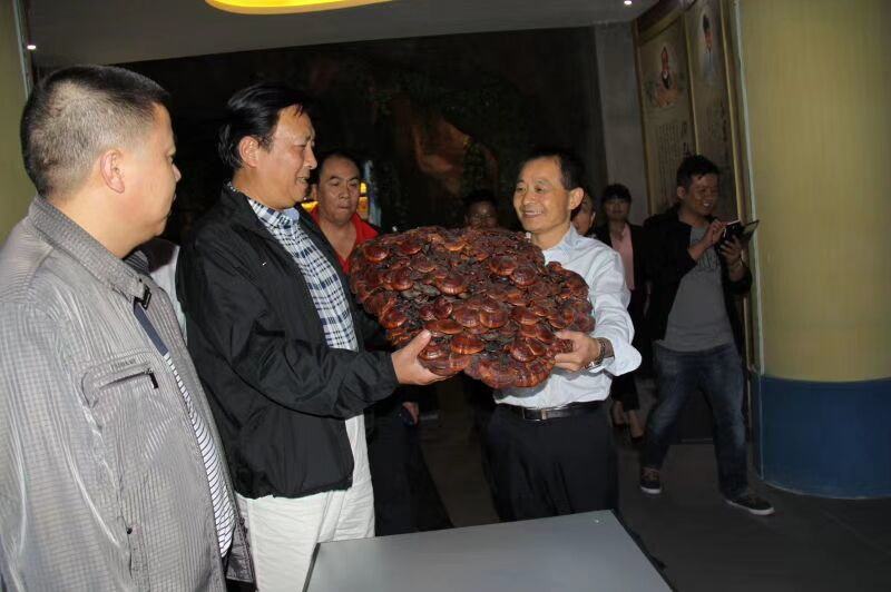 中國靈芝十大品牌|仙客來靈芝|仙客來靈芝破壁孢子粉|仙客來孢子油|仙客來靈芝飲片|仙客來破壁孢子粉|仙客來靈芝中藥飲片|馳名商標(biāo)|m.tianyabagua.cn| 中國靈芝十大品牌|仙客來靈芝|仙客來靈芝破壁孢子粉|仙客來孢子油|仙客來靈芝飲片|仙客來破壁孢子粉|仙客來靈芝中藥飲片|馳名商標(biāo)|m.tianyabagua.cn|