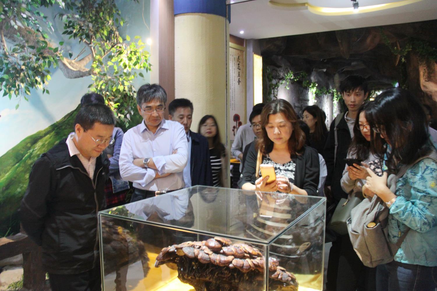 中國靈芝十大品牌|仙客來靈芝|仙客來靈芝破壁孢子粉|仙客來孢子油|仙客來靈芝飲片|仙客來破壁孢子粉|仙客來靈芝中藥飲片|馳名商標(biāo)|m.tianyabagua.cn| 中國靈芝十大品牌|仙客來靈芝|仙客來靈芝破壁孢子粉|仙客來孢子油|仙客來靈芝飲片|仙客來破壁孢子粉|仙客來靈芝中藥飲片|馳名商標(biāo)|m.tianyabagua.cn|