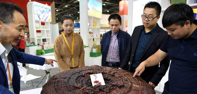 中國靈芝十大品牌|仙客來靈芝|仙客來靈芝破壁孢子粉|仙客來孢子油|仙客來靈芝飲片|仙客來破壁孢子粉|仙客來靈芝中藥飲片|馳名商標|m.tianyabagua.cn| 中國靈芝十大品牌|仙客來靈芝|仙客來靈芝破壁孢子粉|仙客來孢子油|仙客來靈芝飲片|仙客來破壁孢子粉|仙客來靈芝中藥飲片|馳名商標|m.tianyabagua.cn|