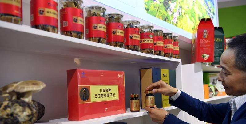 中國靈芝十大品牌|仙客來靈芝|仙客來靈芝破壁孢子粉|仙客來孢子油|仙客來靈芝飲片|仙客來破壁孢子粉|仙客來靈芝中藥飲片|馳名商標|m.tianyabagua.cn| 中國靈芝十大品牌|仙客來靈芝|仙客來靈芝破壁孢子粉|仙客來孢子油|仙客來靈芝飲片|仙客來破壁孢子粉|仙客來靈芝中藥飲片|馳名商標|m.tianyabagua.cn|