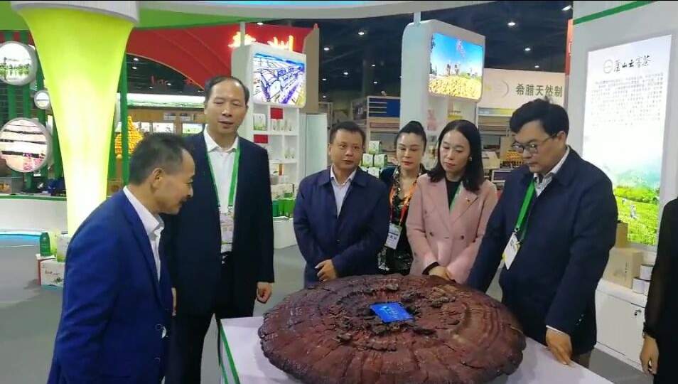 中國靈芝十大品牌|仙客來靈芝|仙客來靈芝破壁孢子粉|仙客來孢子油|仙客來靈芝飲片|仙客來破壁孢子粉|仙客來靈芝中藥飲片|馳名商標|m.tianyabagua.cn| 中國靈芝十大品牌|仙客來靈芝|仙客來靈芝破壁孢子粉|仙客來孢子油|仙客來靈芝飲片|仙客來破壁孢子粉|仙客來靈芝中藥飲片|馳名商標|m.tianyabagua.cn|