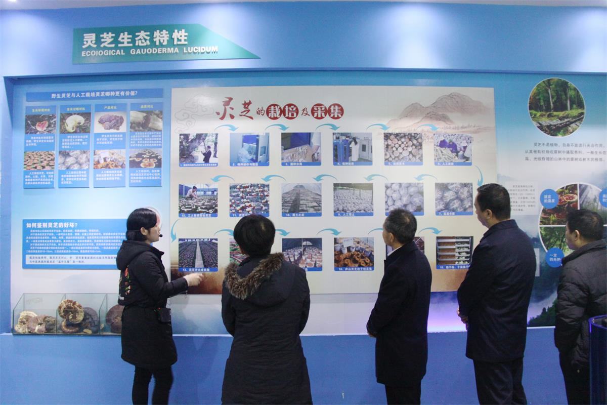 1577686424516489.jpg IMG_2960_副本.jpg