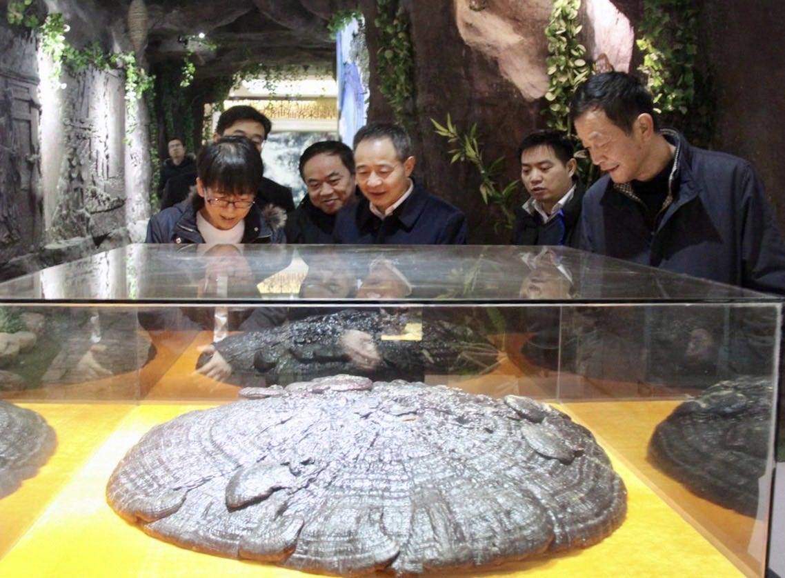 1577762921790600.jpg 726902FF2E0A086D6274171ADD5C1E70.jpg