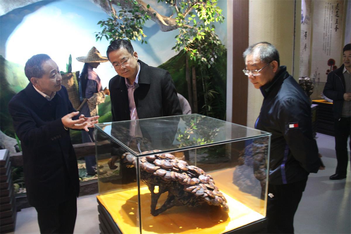 1579313365126546.jpg IMG_3492.JPG