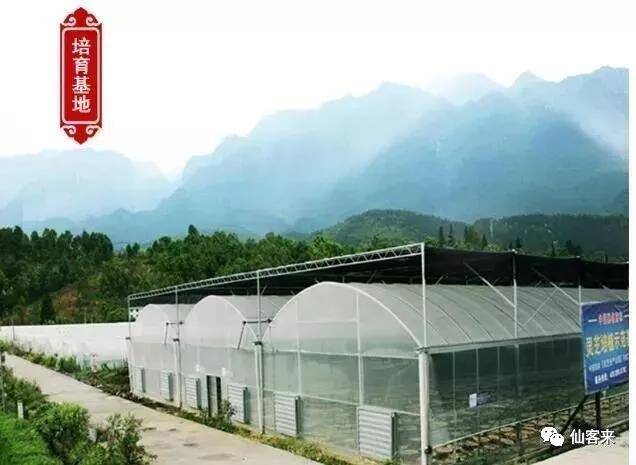 中國(guó)靈芝十大品牌|仙客來(lái)靈芝|仙客來(lái)靈芝破壁孢子粉|仙客來(lái)孢子油|仙客來(lái)靈芝飲片|仙客來(lái)破壁孢子粉|仙客來(lái)靈芝中藥飲片|馳名商標(biāo)|m.tianyabagua.cn| 中國(guó)靈芝十大品牌|仙客來(lái)靈芝|仙客來(lái)靈芝破壁孢子粉|仙客來(lái)孢子油|仙客來(lái)靈芝飲片|仙客來(lái)破壁孢子粉|仙客來(lái)靈芝中藥飲片|馳名商標(biāo)|m.tianyabagua.cn|