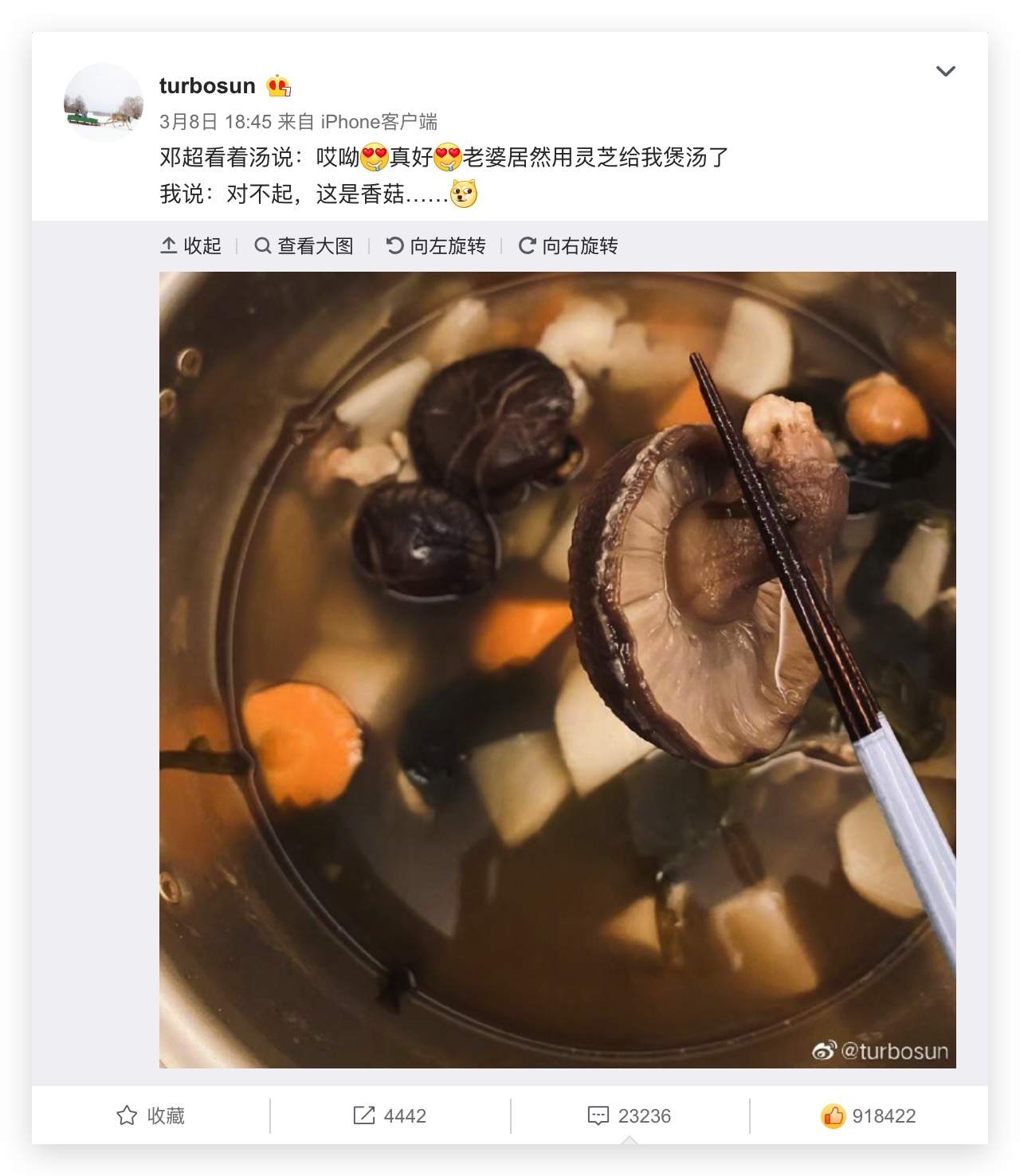 杭州亞運會官方靈芝產(chǎn)品供應(yīng)商|杭州亞運會官方供應(yīng)商|中國靈芝十大品牌|仙客來靈芝|仙客來靈芝破壁孢子粉|仙客來孢子油|仙客來靈芝飲片|仙客來破壁孢子粉|靈芝孢子油|孢子粉|靈芝破壁孢子粉|靈芝|中華老字號