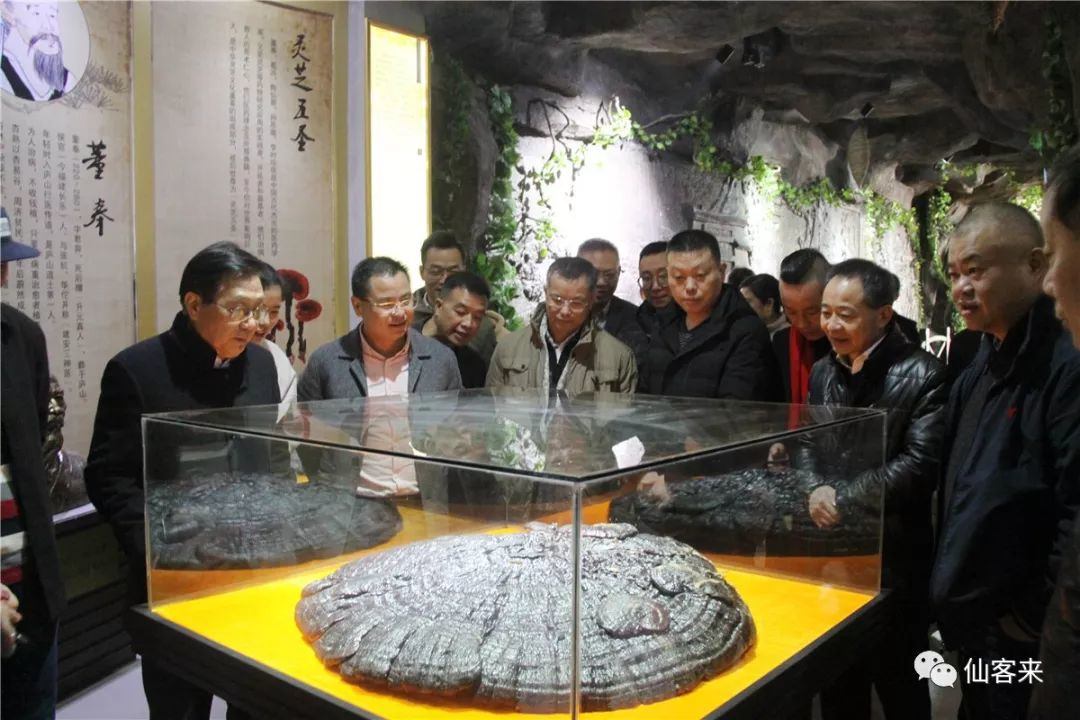 1584513030240294.jpg B9D832BDA17316E09460ADF73752CF56.jpg