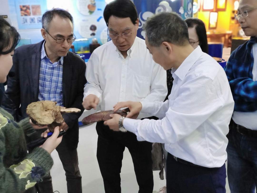 1584667680968281.jpg 457ad837e13e3a218acea5fd18d4ce3f-sz_3795403.jpg