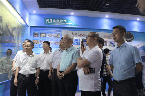 杭州亞運(yùn)會(huì)官方靈芝產(chǎn)品供應(yīng)商|杭州亞運(yùn)會(huì)官方供應(yīng)商|中國靈芝十大品牌|仙客來靈芝|仙客來靈芝破壁孢子粉|仙客來孢子油|仙客來靈芝飲片|仙客來破壁孢子粉|靈芝孢子油|孢子粉|靈芝破壁孢子粉|靈芝|中華老字號(hào) 杭州亞運(yùn)會(huì)官方靈芝產(chǎn)品供應(yīng)商|杭州亞運(yùn)會(huì)官方供應(yīng)商|中國靈芝十大品牌|仙客來靈芝|仙客來靈芝破壁孢子粉|仙客來孢子油|仙客來靈芝飲片|仙客來破壁孢子粉|靈芝孢子油|孢子粉|靈芝破壁孢子粉|靈芝|中華老字號(hào)