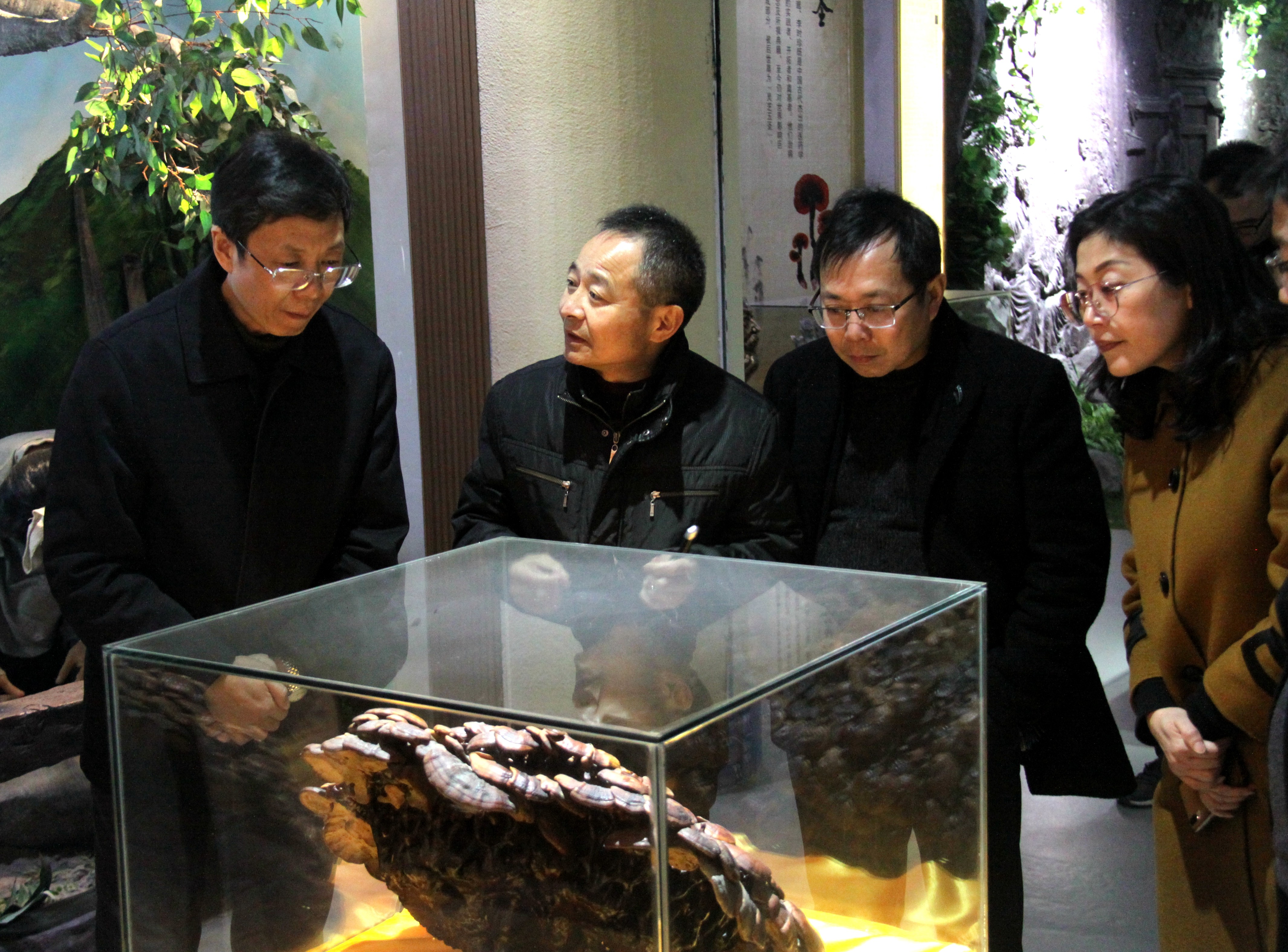 杭州亞運會官方靈芝產(chǎn)品供應(yīng)商|杭州亞運會官方供應(yīng)商|中國靈芝十大品牌|仙客來靈芝|仙客來靈芝破壁孢子粉|仙客來孢子油|仙客來靈芝飲片|仙客來破壁孢子粉|靈芝孢子油|孢子粉|靈芝破壁孢子粉|靈芝|中華老字號