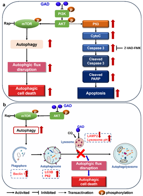 杭州亞運(yùn)會(huì)官方靈芝產(chǎn)品供應(yīng)商|杭州亞運(yùn)會(huì)官方供應(yīng)商|中國(guó)靈芝十大品牌|仙客來(lái)靈芝|仙客來(lái)靈芝破壁孢子粉|仙客來(lái)孢子油|仙客來(lái)靈芝飲片|仙客來(lái)破壁孢子粉|靈芝孢子油|孢子粉|靈芝破壁孢子粉|靈芝|中華老字號(hào) 杭州亞運(yùn)會(huì)官方靈芝產(chǎn)品供應(yīng)商|杭州亞運(yùn)會(huì)官方供應(yīng)商|中國(guó)靈芝十大品牌|仙客來(lái)靈芝|仙客來(lái)靈芝破壁孢子粉|仙客來(lái)孢子油|仙客來(lái)靈芝飲片|仙客來(lái)破壁孢子粉|靈芝孢子油|孢子粉|靈芝破壁孢子粉|靈芝|中華老字號(hào)