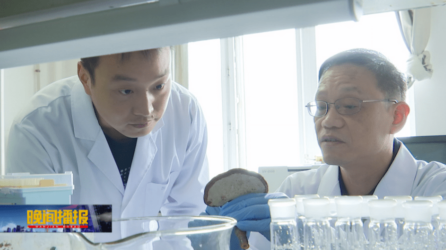 杭州亞運(yùn)會(huì)官方靈芝產(chǎn)品供應(yīng)商|杭州亞運(yùn)會(huì)官方供應(yīng)商|中國(guó)靈芝十大品牌|仙客來(lái)靈芝|仙客來(lái)靈芝破壁孢子粉|仙客來(lái)孢子油|仙客來(lái)靈芝飲片|仙客來(lái)破壁孢子粉|靈芝孢子油|孢子粉|靈芝破壁孢子粉|靈芝|中華老字號(hào) 杭州亞運(yùn)會(huì)官方靈芝產(chǎn)品供應(yīng)商|杭州亞運(yùn)會(huì)官方供應(yīng)商|中國(guó)靈芝十大品牌|仙客來(lái)靈芝|仙客來(lái)靈芝破壁孢子粉|仙客來(lái)孢子油|仙客來(lái)靈芝飲片|仙客來(lái)破壁孢子粉|靈芝孢子油|孢子粉|靈芝破壁孢子粉|靈芝|中華老字號(hào)