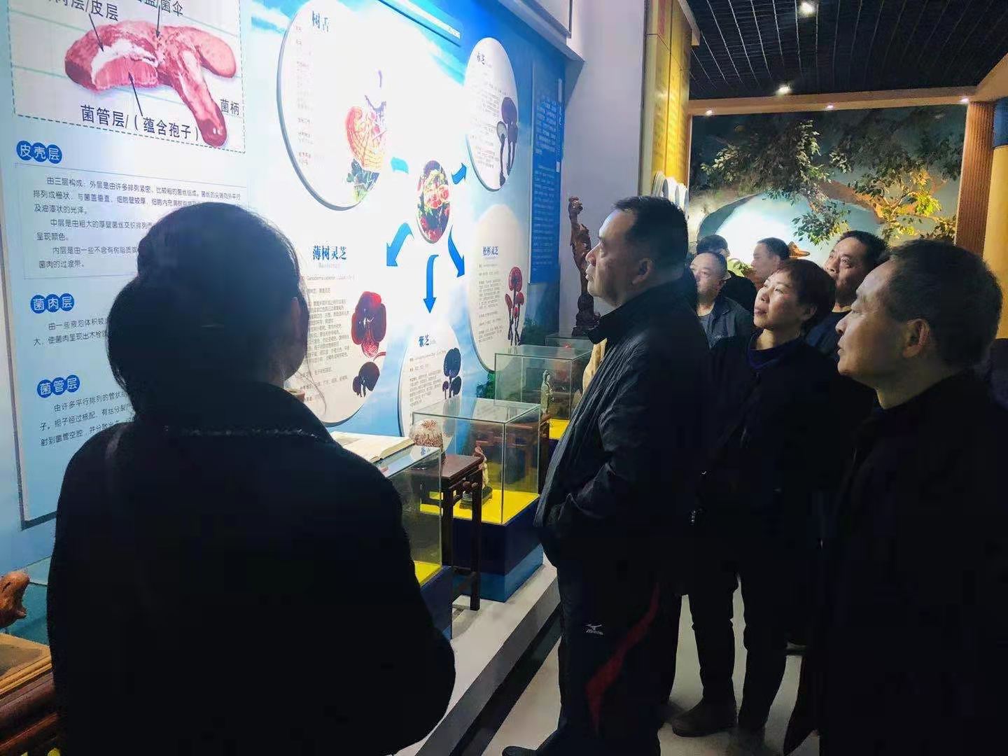 杭州亞運會官方靈芝產(chǎn)品供應商|杭州亞運會官方供應商|中國靈芝十大品牌|仙客來靈芝|仙客來靈芝破壁孢子粉|仙客來孢子油|仙客來靈芝飲片|仙客來破壁孢子粉|靈芝孢子油|孢子粉|靈芝破壁孢子粉|靈芝|中華老字號 杭州亞運會官方靈芝產(chǎn)品供應商|杭州亞運會官方供應商|中國靈芝十大品牌|仙客來靈芝|仙客來靈芝破壁孢子粉|仙客來孢子油|仙客來靈芝飲片|仙客來破壁孢子粉|靈芝孢子油|孢子粉|靈芝破壁孢子粉|靈芝|中華老字號