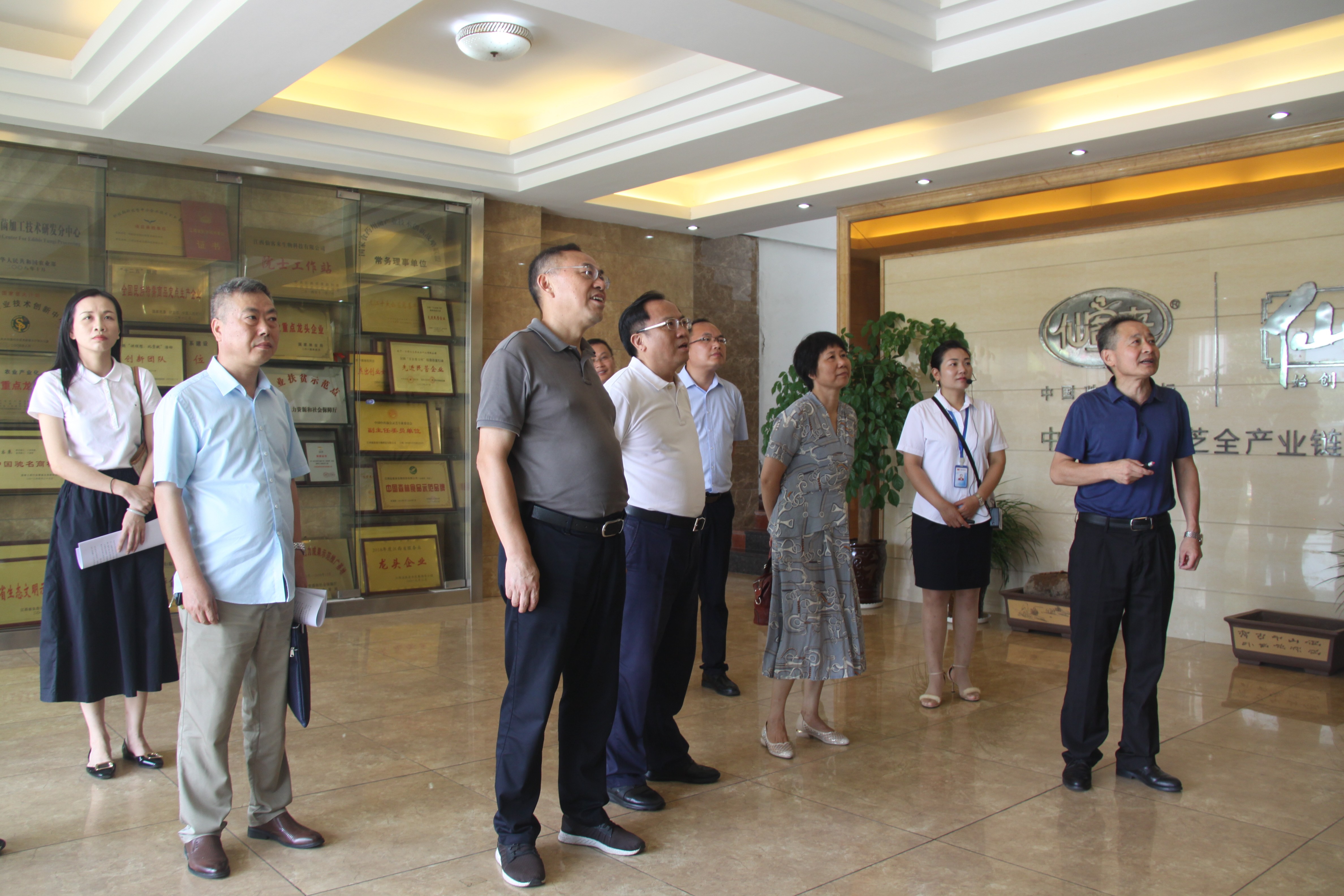 杭州亞運(yùn)會官方靈芝產(chǎn)品供應(yīng)商|杭州亞運(yùn)會官方供應(yīng)商|中國靈芝十大品牌|仙客來靈芝|仙客來靈芝破壁孢子粉|仙客來孢子油|仙客來靈芝飲片|仙客來破壁孢子粉|靈芝孢子油|孢子粉|靈芝破壁孢子粉|靈芝|中華老字號 杭州亞運(yùn)會官方靈芝產(chǎn)品供應(yīng)商|杭州亞運(yùn)會官方供應(yīng)商|中國靈芝十大品牌|仙客來靈芝|仙客來靈芝破壁孢子粉|仙客來孢子油|仙客來靈芝飲片|仙客來破壁孢子粉|靈芝孢子油|孢子粉|靈芝破壁孢子粉|靈芝|中華老字號