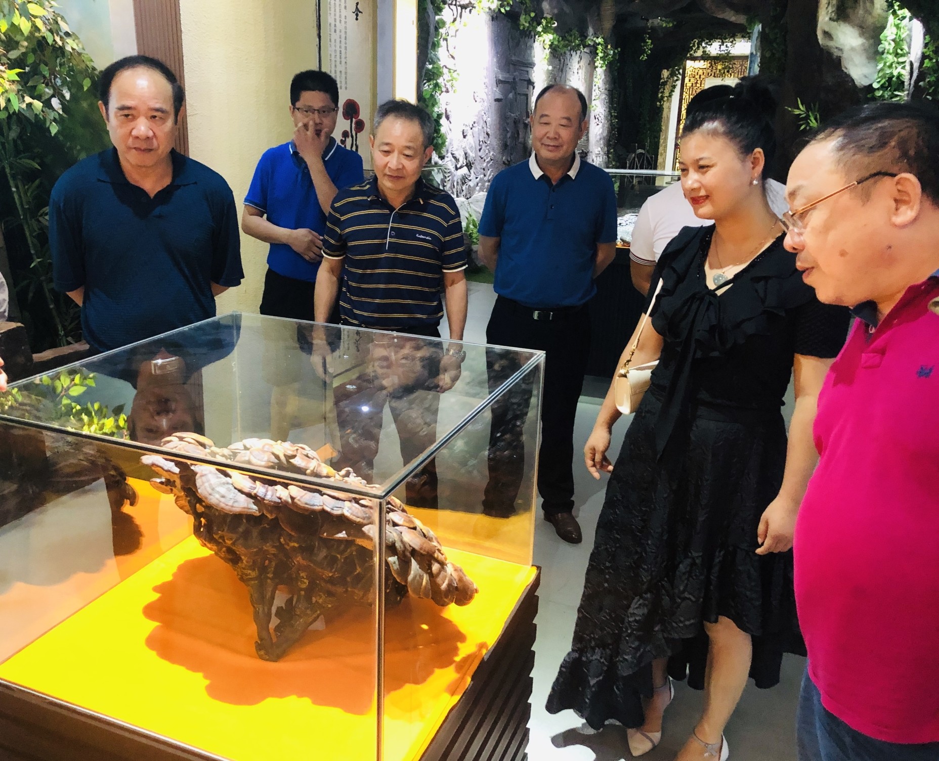 杭州亞運會官方靈芝產(chǎn)品供應商|杭州亞運會官方供應商|中國靈芝十大品牌|仙客來靈芝|仙客來靈芝破壁孢子粉|仙客來孢子油|仙客來靈芝飲片|仙客來破壁孢子粉|靈芝孢子油|孢子粉|靈芝破壁孢子粉|靈芝|中華老字號 杭州亞運會官方靈芝產(chǎn)品供應商|杭州亞運會官方供應商|中國靈芝十大品牌|仙客來靈芝|仙客來靈芝破壁孢子粉|仙客來孢子油|仙客來靈芝飲片|仙客來破壁孢子粉|靈芝孢子油|孢子粉|靈芝破壁孢子粉|靈芝|中華老字號