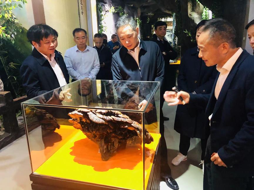 杭州亞運(yùn)會(huì)官方靈芝產(chǎn)品供應(yīng)商|杭州亞運(yùn)會(huì)官方供應(yīng)商|中國(guó)靈芝十大品牌|仙客來靈芝|仙客來靈芝破壁孢子粉|仙客來孢子油|仙客來靈芝飲片|仙客來破壁孢子粉|靈芝孢子油|孢子粉|靈芝破壁孢子粉|靈芝|中華老字號(hào) 杭州亞運(yùn)會(huì)官方靈芝產(chǎn)品供應(yīng)商|杭州亞運(yùn)會(huì)官方供應(yīng)商|中國(guó)靈芝十大品牌|仙客來靈芝|仙客來靈芝破壁孢子粉|仙客來孢子油|仙客來靈芝飲片|仙客來破壁孢子粉|靈芝孢子油|孢子粉|靈芝破壁孢子粉|靈芝|中華老字號(hào)