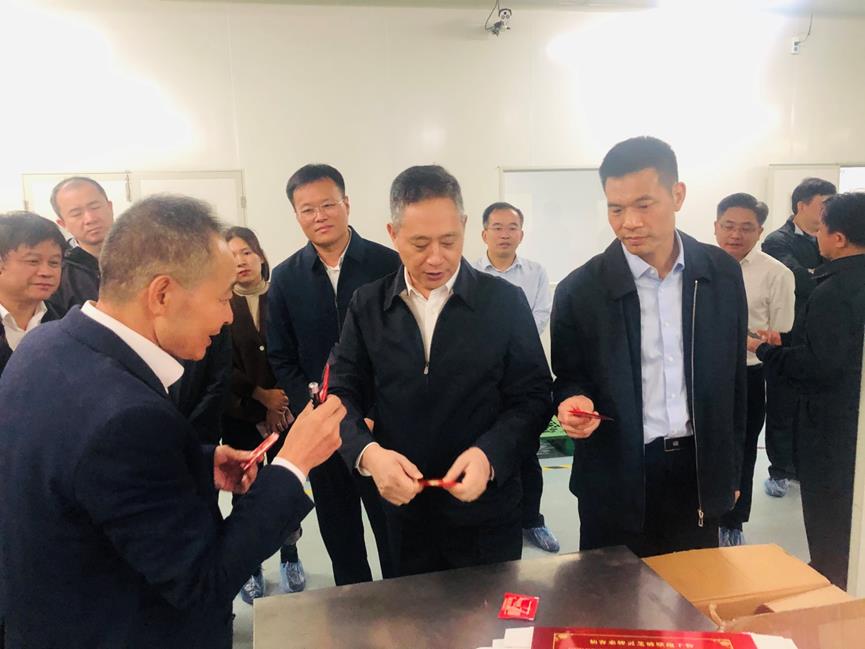 杭州亞運(yùn)會(huì)官方靈芝產(chǎn)品供應(yīng)商|杭州亞運(yùn)會(huì)官方供應(yīng)商|中國(guó)靈芝十大品牌|仙客來靈芝|仙客來靈芝破壁孢子粉|仙客來孢子油|仙客來靈芝飲片|仙客來破壁孢子粉|靈芝孢子油|孢子粉|靈芝破壁孢子粉|靈芝|中華老字號(hào) 杭州亞運(yùn)會(huì)官方靈芝產(chǎn)品供應(yīng)商|杭州亞運(yùn)會(huì)官方供應(yīng)商|中國(guó)靈芝十大品牌|仙客來靈芝|仙客來靈芝破壁孢子粉|仙客來孢子油|仙客來靈芝飲片|仙客來破壁孢子粉|靈芝孢子油|孢子粉|靈芝破壁孢子粉|靈芝|中華老字號(hào)