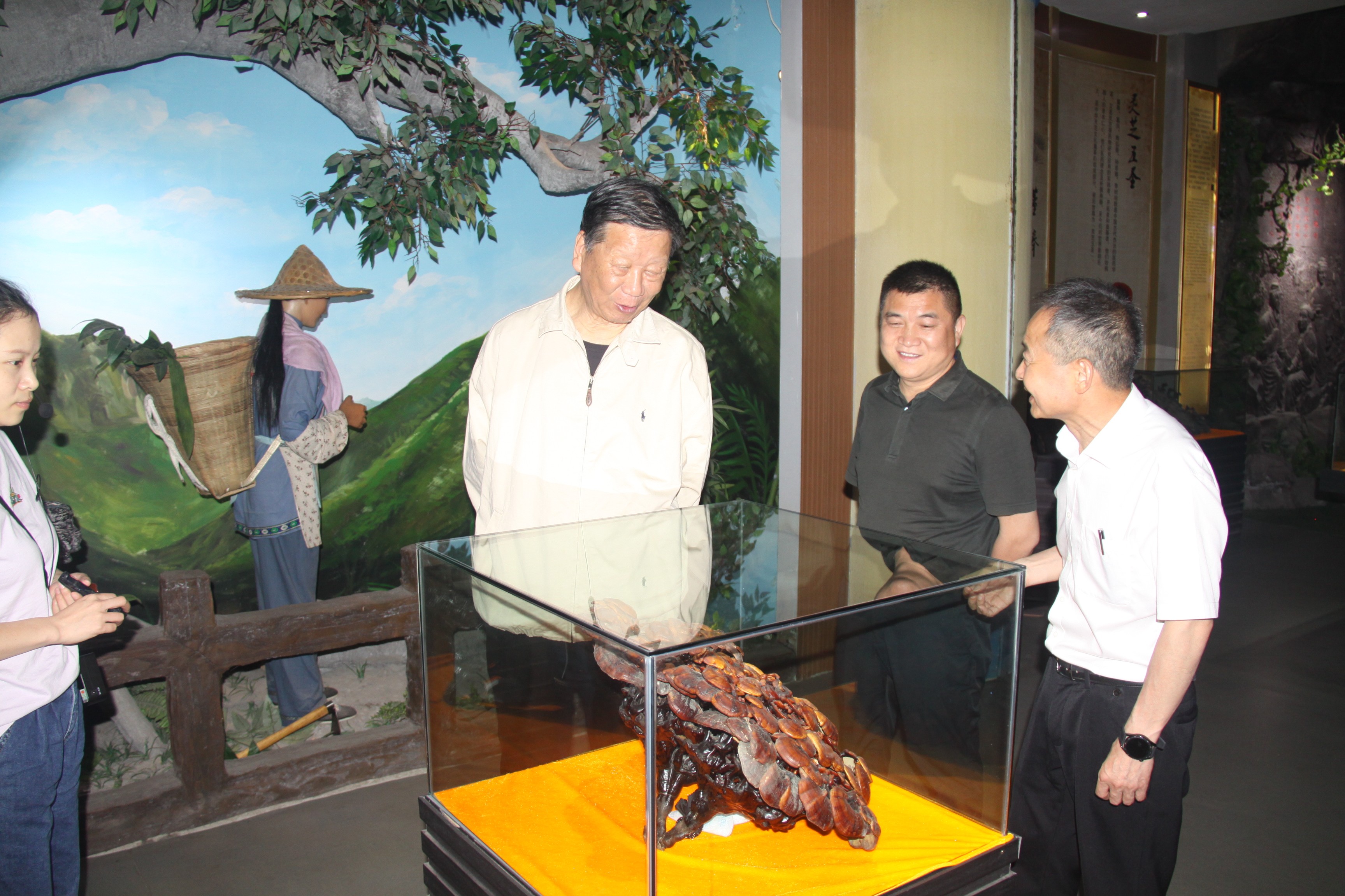 杭州亞運(yùn)會(huì)官方靈芝產(chǎn)品供應(yīng)商|杭州亞運(yùn)會(huì)官方供應(yīng)商|中國(guó)靈芝十大品牌|仙客來(lái)靈芝|仙客來(lái)靈芝破壁孢子粉|仙客來(lái)孢子油|仙客來(lái)靈芝飲片|仙客來(lái)破壁孢子粉|靈芝孢子油|孢子粉|靈芝破壁孢子粉|靈芝|中華老字號(hào) 杭州亞運(yùn)會(huì)官方靈芝產(chǎn)品供應(yīng)商|杭州亞運(yùn)會(huì)官方供應(yīng)商|中國(guó)靈芝十大品牌|仙客來(lái)靈芝|仙客來(lái)靈芝破壁孢子粉|仙客來(lái)孢子油|仙客來(lái)靈芝飲片|仙客來(lái)破壁孢子粉|靈芝孢子油|孢子粉|靈芝破壁孢子粉|靈芝|中華老字號(hào)