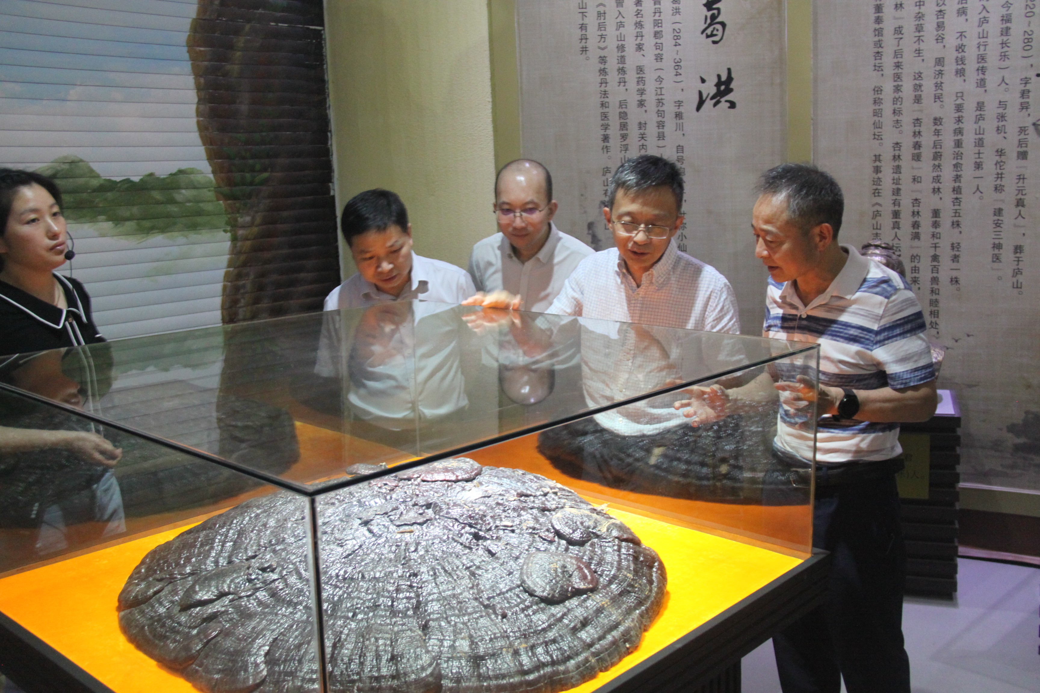 杭州亞運會官方靈芝產(chǎn)品供應(yīng)商|杭州亞運會官方供應(yīng)商|中國靈芝十大品牌|仙客來靈芝|仙客來靈芝破壁孢子粉|仙客來孢子油|仙客來靈芝飲片|仙客來破壁孢子粉|靈芝孢子油|孢子粉|靈芝破壁孢子粉|靈芝|中華老字號 杭州亞運會官方靈芝產(chǎn)品供應(yīng)商|杭州亞運會官方供應(yīng)商|中國靈芝十大品牌|仙客來靈芝|仙客來靈芝破壁孢子粉|仙客來孢子油|仙客來靈芝飲片|仙客來破壁孢子粉|靈芝孢子油|孢子粉|靈芝破壁孢子粉|靈芝|中華老字號