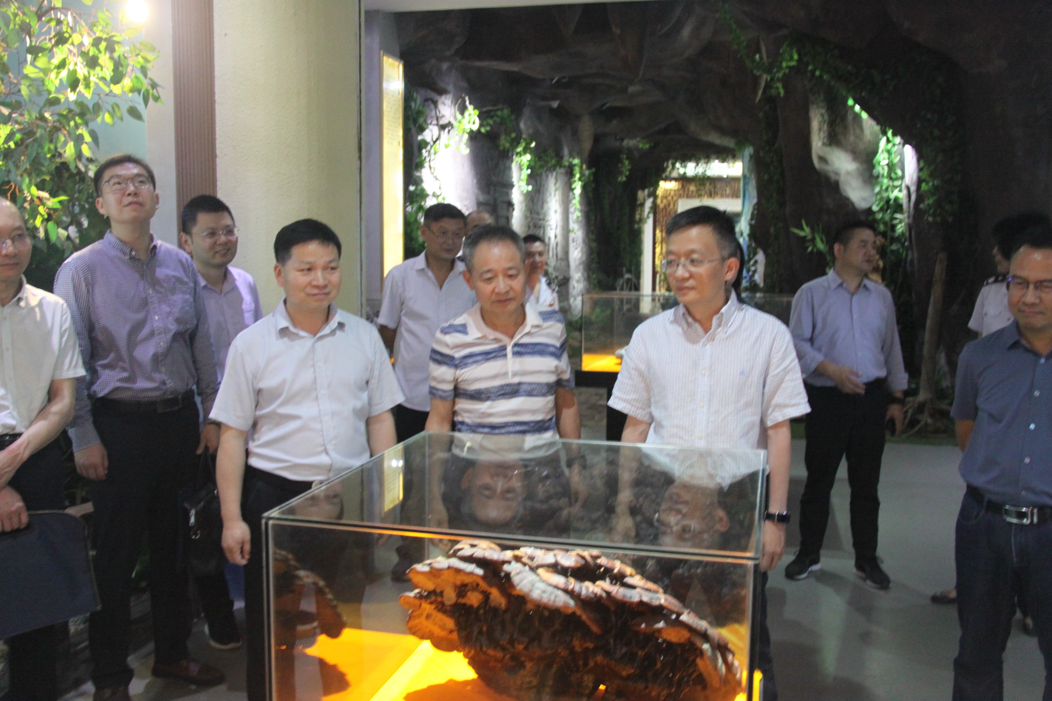 杭州亞運會官方靈芝產(chǎn)品供應(yīng)商|杭州亞運會官方供應(yīng)商|中國靈芝十大品牌|仙客來靈芝|仙客來靈芝破壁孢子粉|仙客來孢子油|仙客來靈芝飲片|仙客來破壁孢子粉|靈芝孢子油|孢子粉|靈芝破壁孢子粉|靈芝|中華老字號 杭州亞運會官方靈芝產(chǎn)品供應(yīng)商|杭州亞運會官方供應(yīng)商|中國靈芝十大品牌|仙客來靈芝|仙客來靈芝破壁孢子粉|仙客來孢子油|仙客來靈芝飲片|仙客來破壁孢子粉|靈芝孢子油|孢子粉|靈芝破壁孢子粉|靈芝|中華老字號