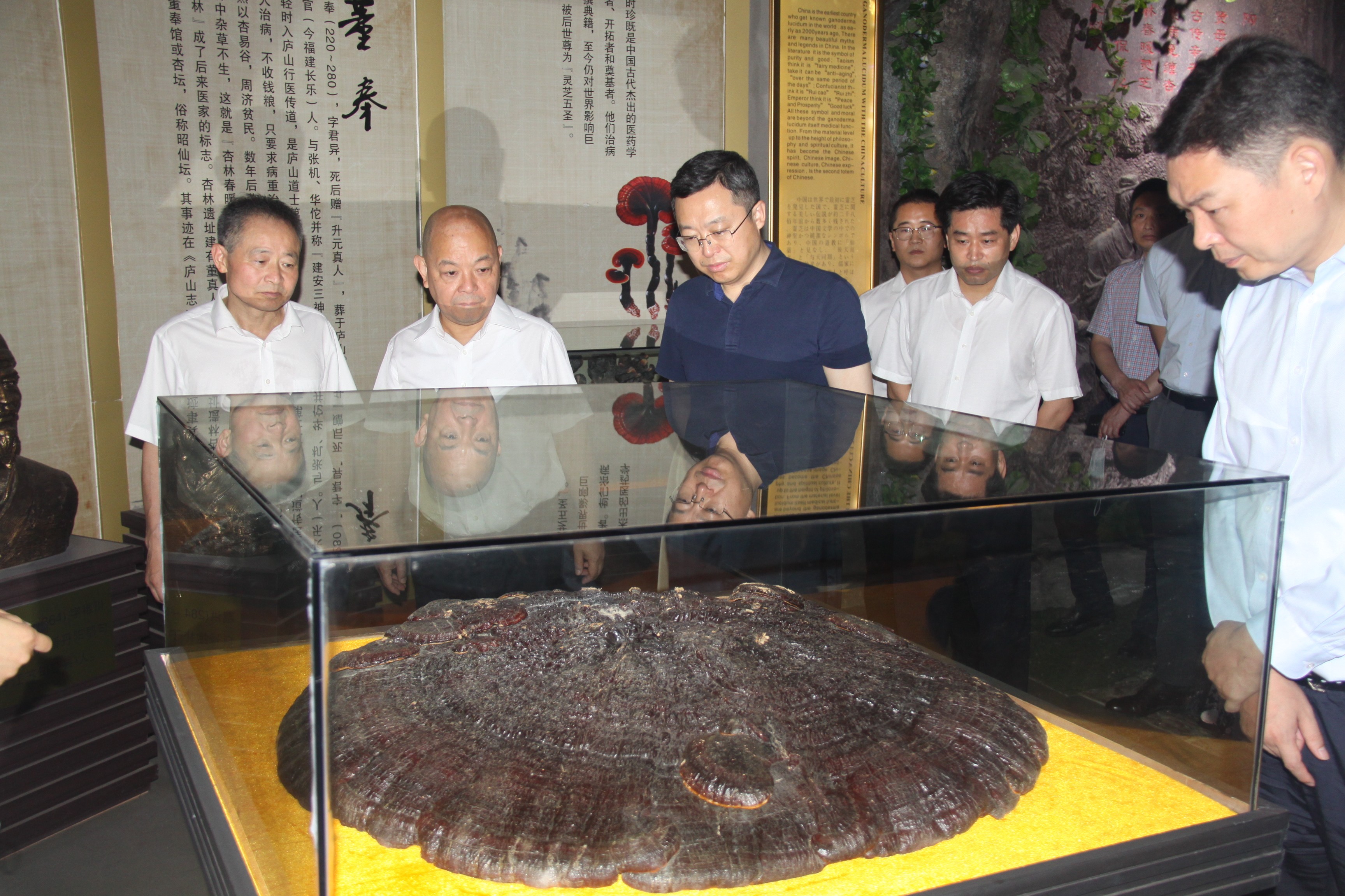 杭州亞運會官方靈芝產(chǎn)品供應(yīng)商|杭州亞運會官方供應(yīng)商|中國靈芝十大品牌|仙客來靈芝|仙客來靈芝破壁孢子粉|仙客來孢子油|仙客來靈芝飲片|仙客來破壁孢子粉|靈芝孢子油|孢子粉|靈芝破壁孢子粉|靈芝|中華老字號 杭州亞運會官方靈芝產(chǎn)品供應(yīng)商|杭州亞運會官方供應(yīng)商|中國靈芝十大品牌|仙客來靈芝|仙客來靈芝破壁孢子粉|仙客來孢子油|仙客來靈芝飲片|仙客來破壁孢子粉|靈芝孢子油|孢子粉|靈芝破壁孢子粉|靈芝|中華老字號