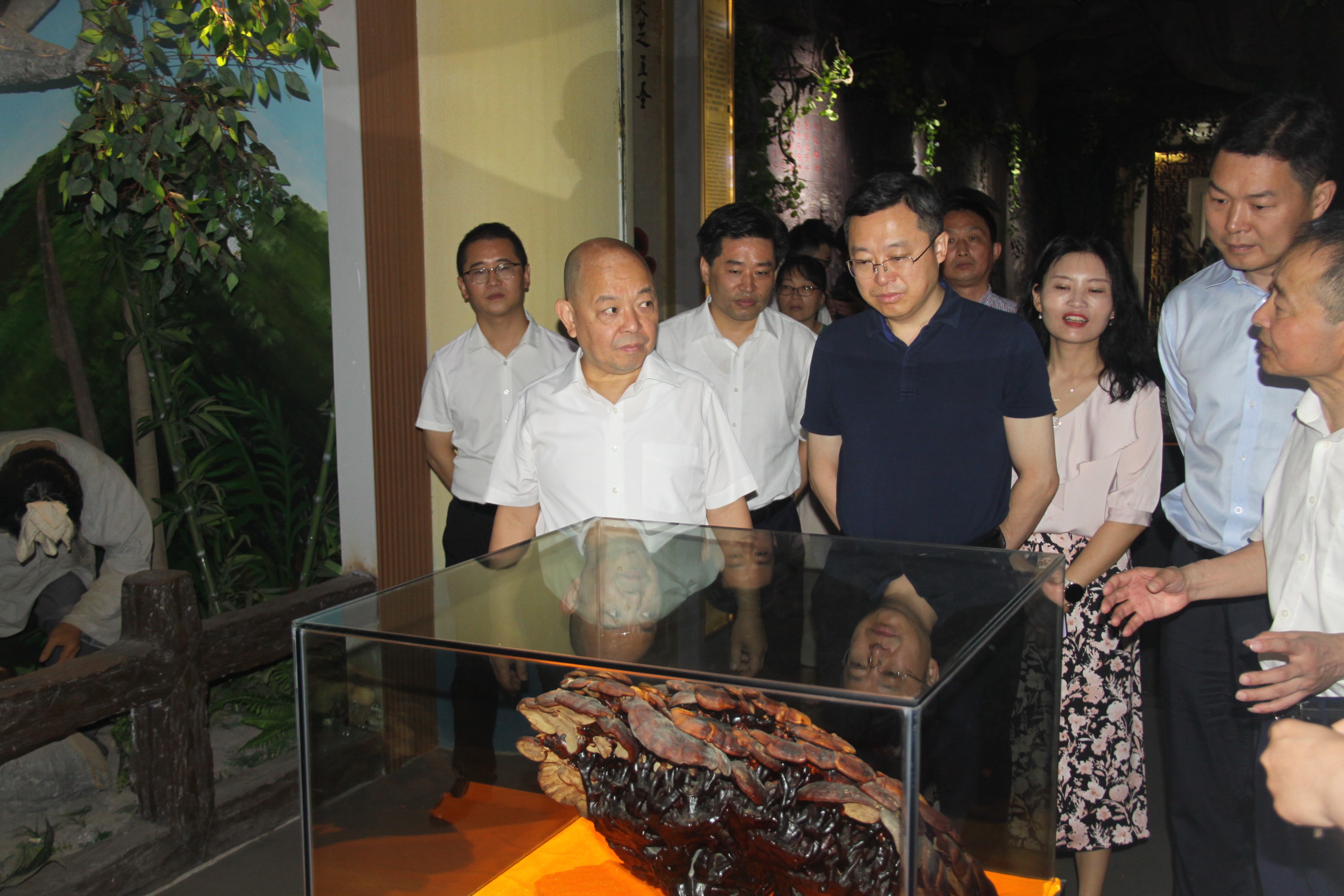 杭州亞運會官方靈芝產(chǎn)品供應(yīng)商|杭州亞運會官方供應(yīng)商|中國靈芝十大品牌|仙客來靈芝|仙客來靈芝破壁孢子粉|仙客來孢子油|仙客來靈芝飲片|仙客來破壁孢子粉|靈芝孢子油|孢子粉|靈芝破壁孢子粉|靈芝|中華老字號 杭州亞運會官方靈芝產(chǎn)品供應(yīng)商|杭州亞運會官方供應(yīng)商|中國靈芝十大品牌|仙客來靈芝|仙客來靈芝破壁孢子粉|仙客來孢子油|仙客來靈芝飲片|仙客來破壁孢子粉|靈芝孢子油|孢子粉|靈芝破壁孢子粉|靈芝|中華老字號