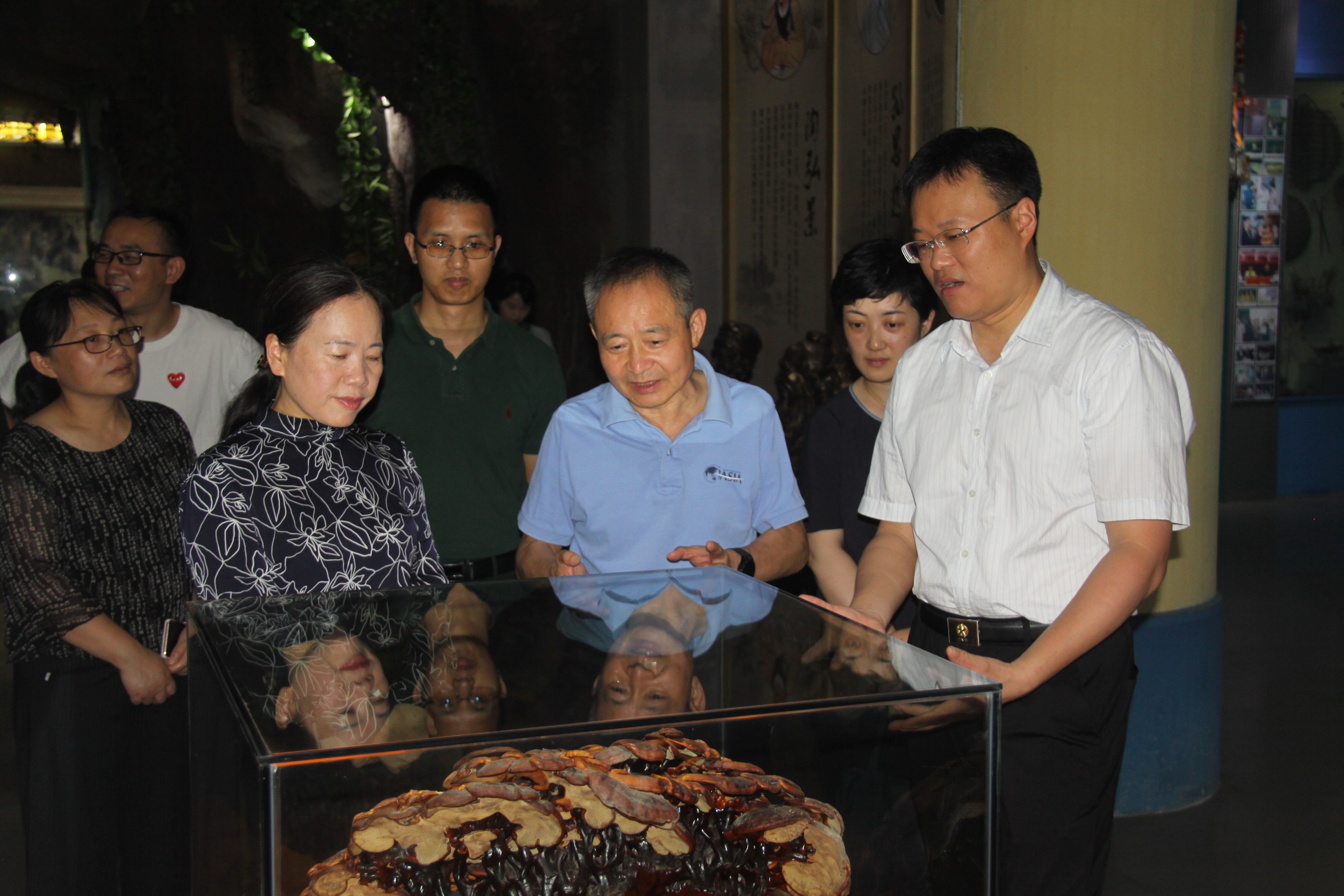 杭州亞運(yùn)會(huì)官方靈芝產(chǎn)品供應(yīng)商|杭州亞運(yùn)會(huì)官方供應(yīng)商|中國(guó)靈芝十大品牌|仙客來靈芝|仙客來靈芝破壁孢子粉|仙客來孢子油|仙客來靈芝飲片|仙客來破壁孢子粉|靈芝孢子油|孢子粉|靈芝破壁孢子粉|靈芝|中華老字號(hào) 杭州亞運(yùn)會(huì)官方靈芝產(chǎn)品供應(yīng)商|杭州亞運(yùn)會(huì)官方供應(yīng)商|中國(guó)靈芝十大品牌|仙客來靈芝|仙客來靈芝破壁孢子粉|仙客來孢子油|仙客來靈芝飲片|仙客來破壁孢子粉|靈芝孢子油|孢子粉|靈芝破壁孢子粉|靈芝|中華老字號(hào)