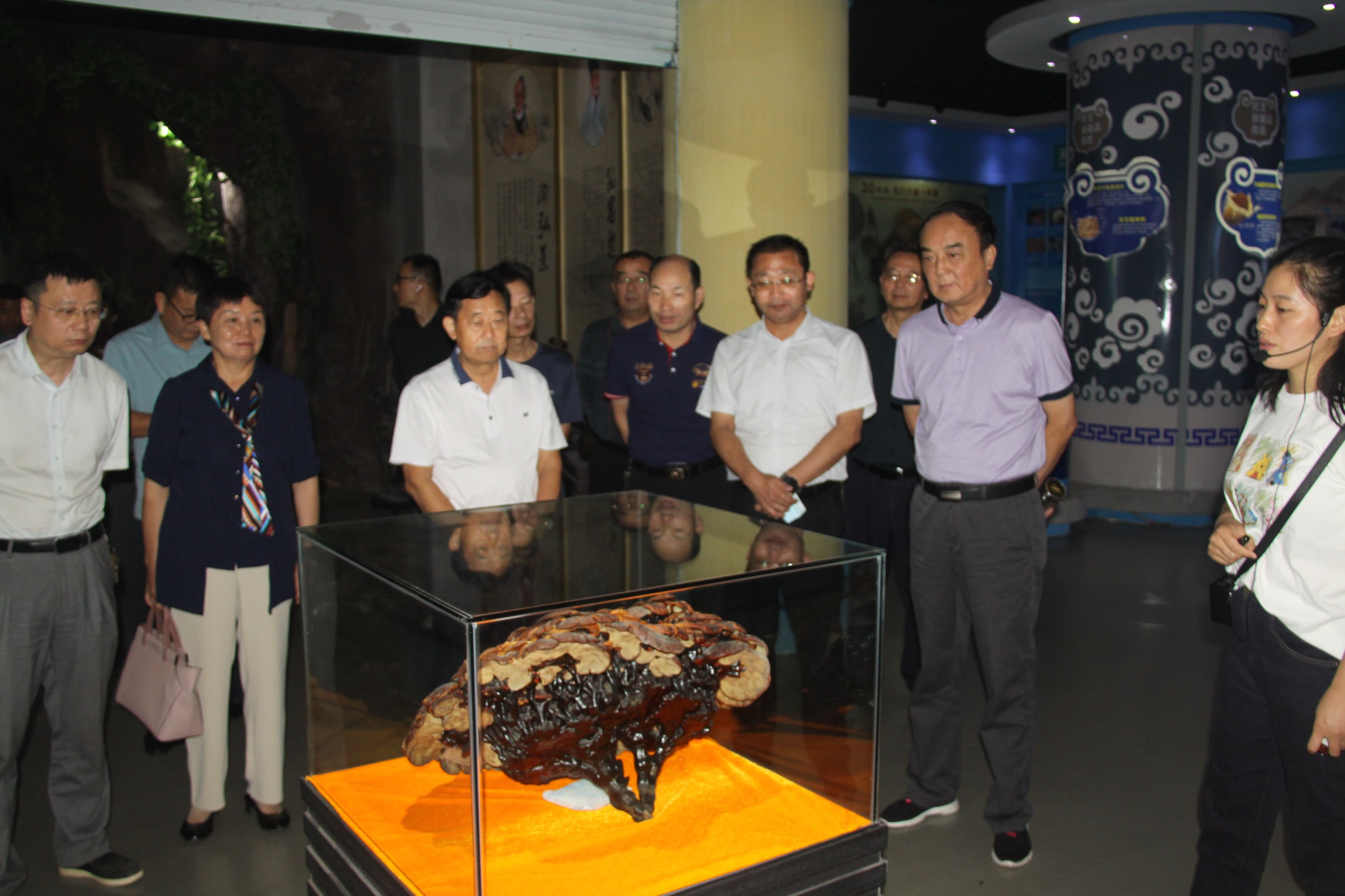 杭州亞運(yùn)會(huì)官方靈芝產(chǎn)品供應(yīng)商|杭州亞運(yùn)會(huì)官方供應(yīng)商|中國靈芝十大品牌|仙客來靈芝|仙客來靈芝破壁孢子粉|仙客來孢子油|仙客來靈芝飲片|仙客來破壁孢子粉|靈芝孢子油|孢子粉|靈芝破壁孢子粉|靈芝|中華老字號(hào)