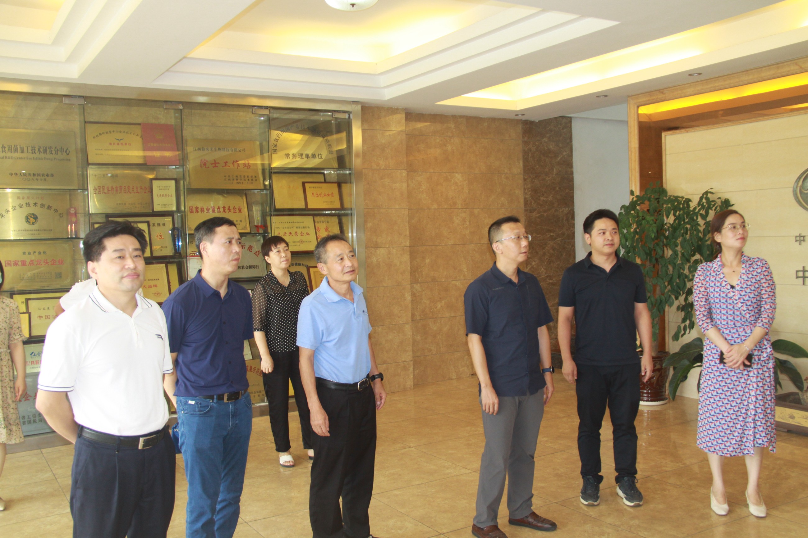 杭州亞運(yùn)會(huì)官方靈芝產(chǎn)品供應(yīng)商|杭州亞運(yùn)會(huì)官方供應(yīng)商|中國(guó)靈芝十大品牌|仙客來靈芝|仙客來靈芝破壁孢子粉|仙客來孢子油|仙客來靈芝飲片|仙客來破壁孢子粉|靈芝孢子油|孢子粉|靈芝破壁孢子粉|靈芝|中華老字號(hào)