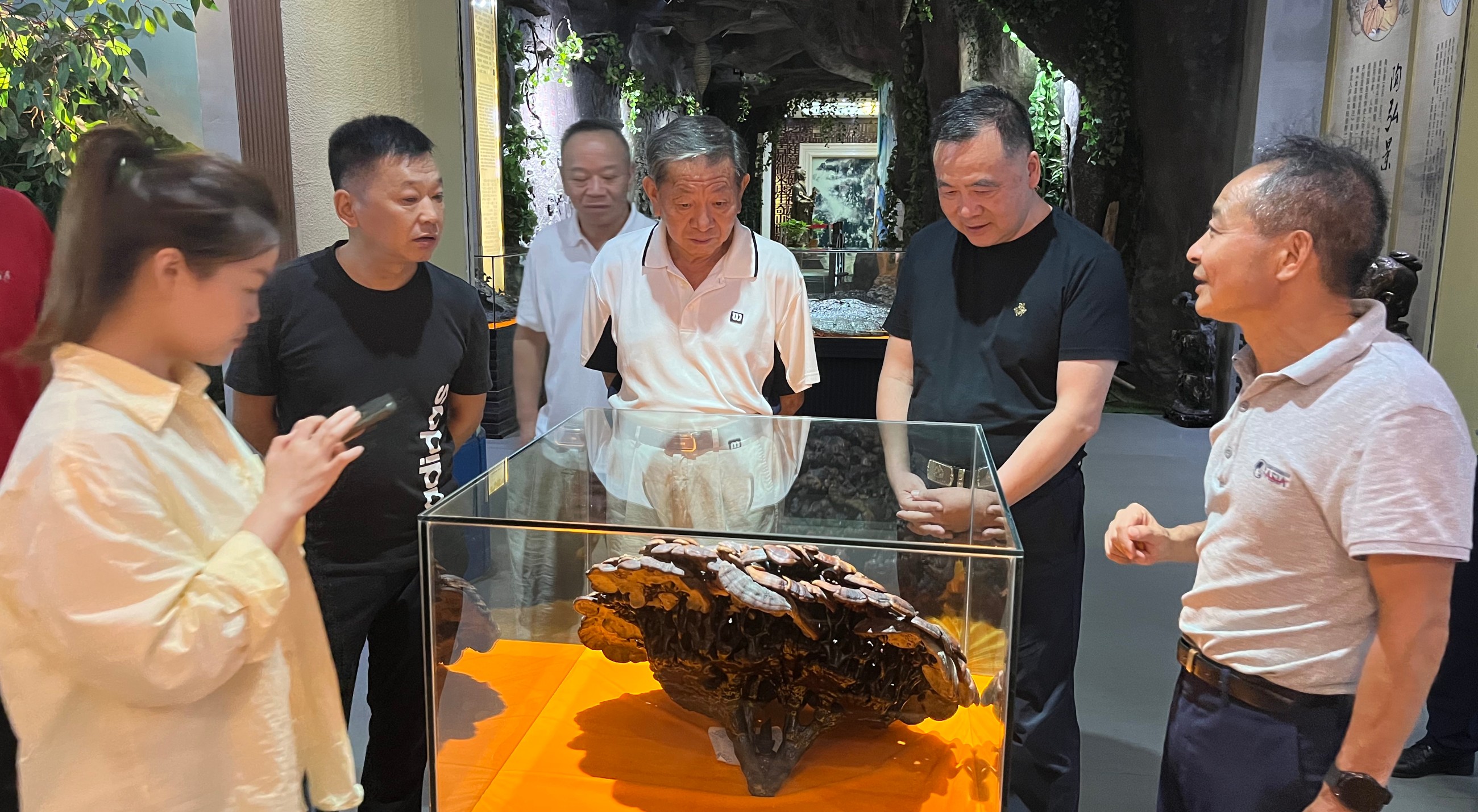 杭州亞運會官方靈芝產(chǎn)品供應(yīng)商|杭州亞運會官方供應(yīng)商|中國靈芝十大品牌|仙客來靈芝|仙客來靈芝破壁孢子粉|仙客來孢子油|仙客來靈芝飲片|仙客來破壁孢子粉|靈芝孢子油|孢子粉|靈芝破壁孢子粉|靈芝|中華老字號 杭州亞運會官方靈芝產(chǎn)品供應(yīng)商|杭州亞運會官方供應(yīng)商|中國靈芝十大品牌|仙客來靈芝|仙客來靈芝破壁孢子粉|仙客來孢子油|仙客來靈芝飲片|仙客來破壁孢子粉|靈芝孢子油|孢子粉|靈芝破壁孢子粉|靈芝|中華老字號