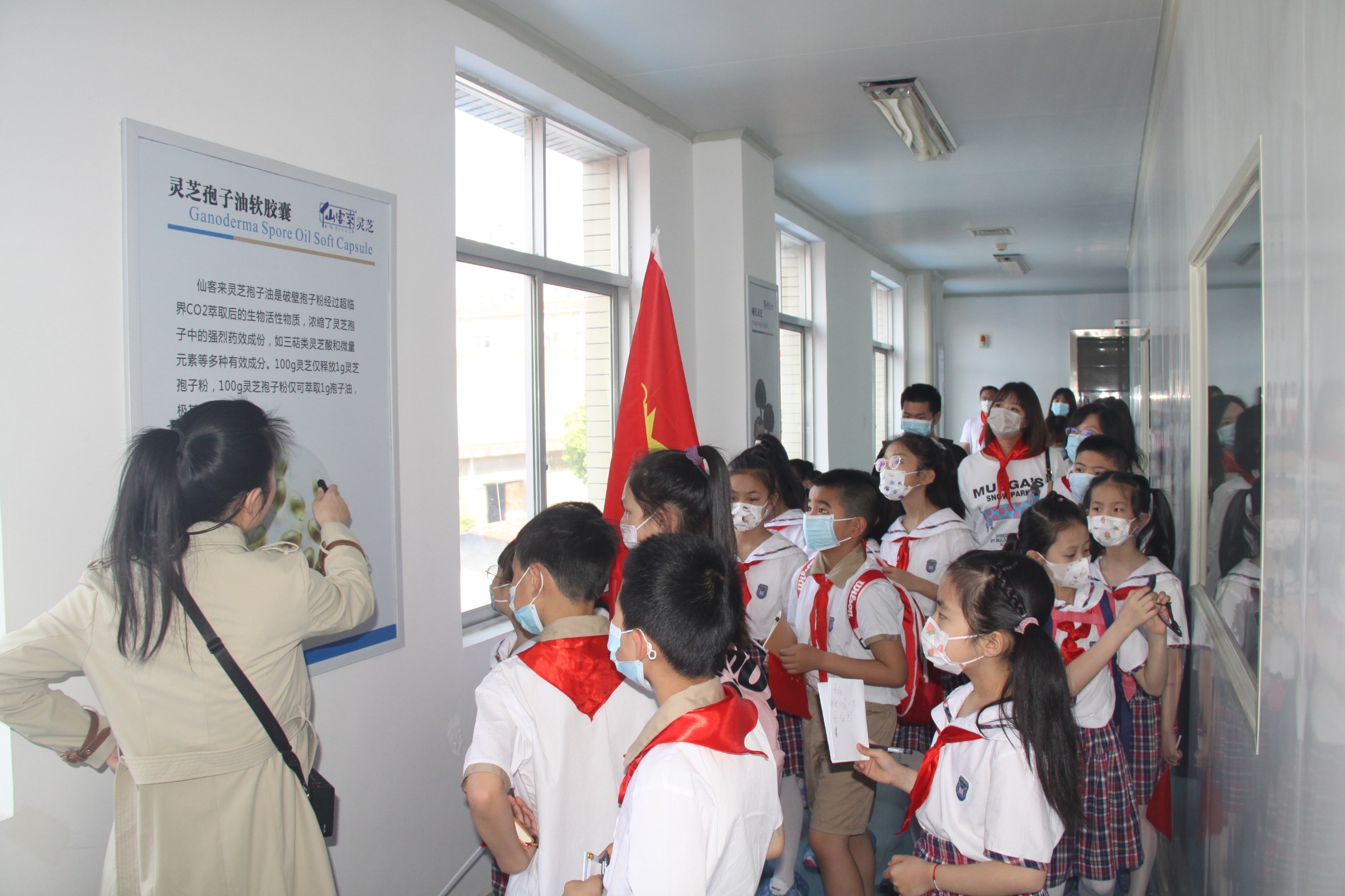 杭州亞運(yùn)會官方靈芝產(chǎn)品供應(yīng)商|杭州亞運(yùn)會官方供應(yīng)商|中國靈芝十大品牌|仙客來靈芝|仙客來靈芝破壁孢子粉|仙客來孢子油|仙客來靈芝飲片|仙客來破壁孢子粉|靈芝孢子油|孢子粉|靈芝破壁孢子粉|靈芝|中華老字號 杭州亞運(yùn)會官方靈芝產(chǎn)品供應(yīng)商|杭州亞運(yùn)會官方供應(yīng)商|中國靈芝十大品牌|仙客來靈芝|仙客來靈芝破壁孢子粉|仙客來孢子油|仙客來靈芝飲片|仙客來破壁孢子粉|靈芝孢子油|孢子粉|靈芝破壁孢子粉|靈芝|中華老字號