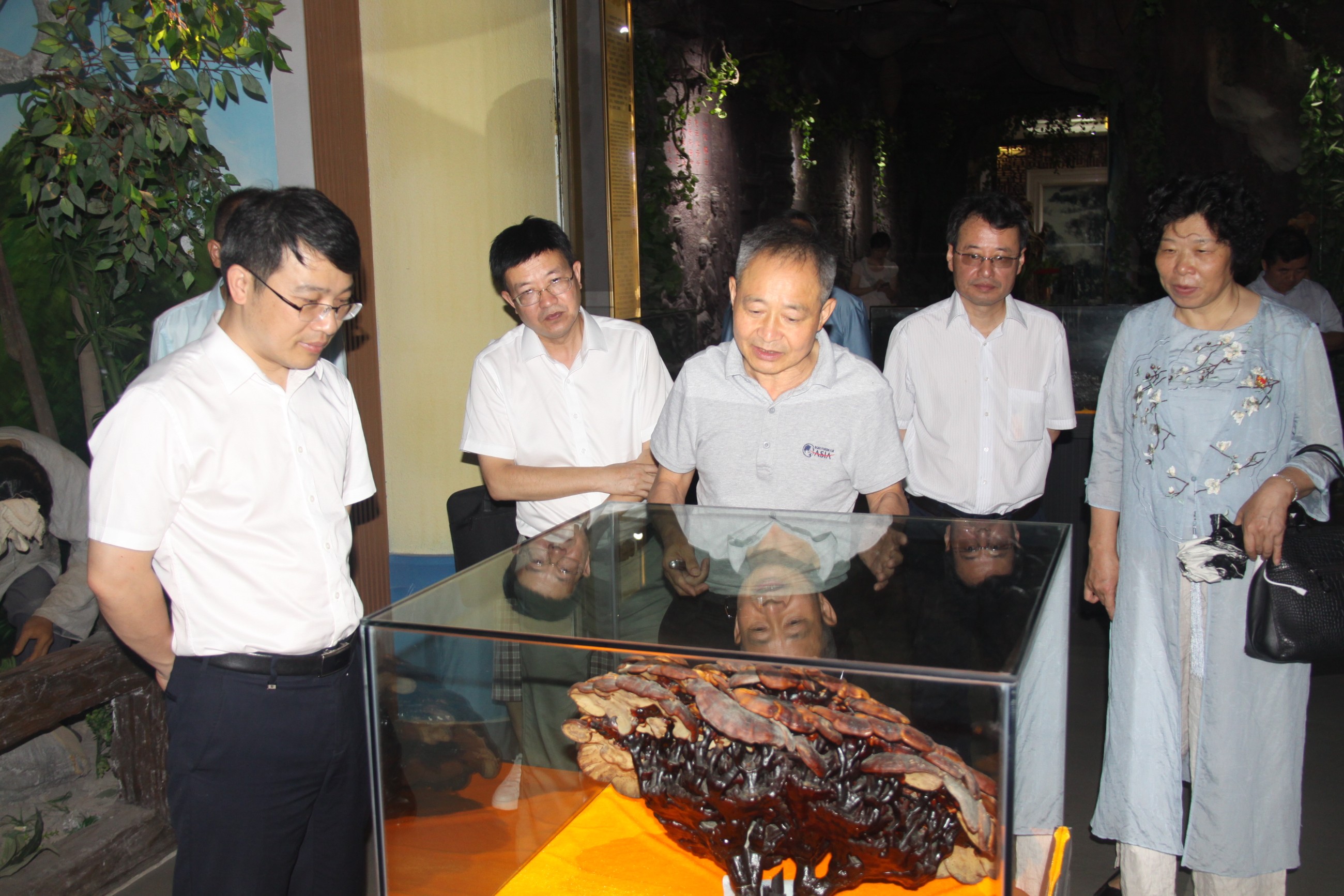 杭州亞運會官方靈芝產(chǎn)品供應商|杭州亞運會官方供應商|中國靈芝十大品牌|仙客來靈芝|仙客來靈芝破壁孢子粉|仙客來孢子油|仙客來靈芝飲片|仙客來破壁孢子粉|靈芝孢子油|孢子粉|靈芝破壁孢子粉|靈芝|中華老字號 杭州亞運會官方靈芝產(chǎn)品供應商|杭州亞運會官方供應商|中國靈芝十大品牌|仙客來靈芝|仙客來靈芝破壁孢子粉|仙客來孢子油|仙客來靈芝飲片|仙客來破壁孢子粉|靈芝孢子油|孢子粉|靈芝破壁孢子粉|靈芝|中華老字號