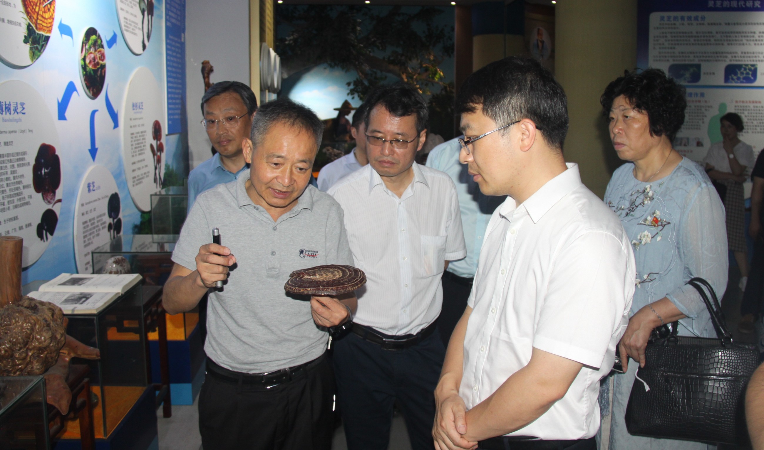 杭州亞運會官方靈芝產(chǎn)品供應商|杭州亞運會官方供應商|中國靈芝十大品牌|仙客來靈芝|仙客來靈芝破壁孢子粉|仙客來孢子油|仙客來靈芝飲片|仙客來破壁孢子粉|靈芝孢子油|孢子粉|靈芝破壁孢子粉|靈芝|中華老字號 杭州亞運會官方靈芝產(chǎn)品供應商|杭州亞運會官方供應商|中國靈芝十大品牌|仙客來靈芝|仙客來靈芝破壁孢子粉|仙客來孢子油|仙客來靈芝飲片|仙客來破壁孢子粉|靈芝孢子油|孢子粉|靈芝破壁孢子粉|靈芝|中華老字號