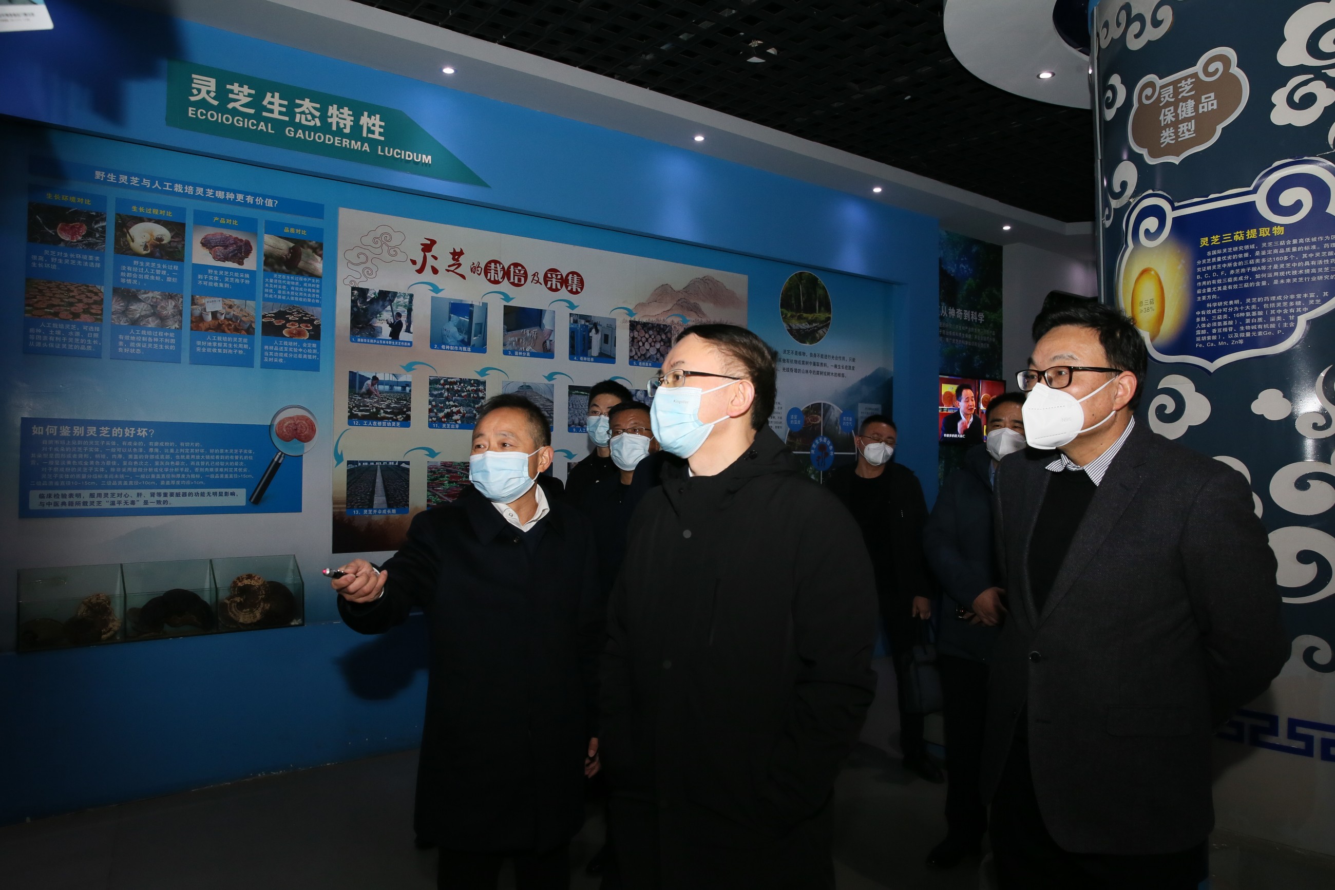 杭州亞運(yùn)會(huì)官方靈芝產(chǎn)品供應(yīng)商|杭州亞運(yùn)會(huì)官方供應(yīng)商|中國靈芝十大品牌|仙客來靈芝|仙客來靈芝破壁孢子粉|仙客來孢子油|仙客來靈芝飲片|仙客來破壁孢子粉|靈芝孢子油|孢子粉|靈芝破壁孢子粉|靈芝|中華老字號(hào) 杭州亞運(yùn)會(huì)官方靈芝產(chǎn)品供應(yīng)商|杭州亞運(yùn)會(huì)官方供應(yīng)商|中國靈芝十大品牌|仙客來靈芝|仙客來靈芝破壁孢子粉|仙客來孢子油|仙客來靈芝飲片|仙客來破壁孢子粉|靈芝孢子油|孢子粉|靈芝破壁孢子粉|靈芝|中華老字號(hào)