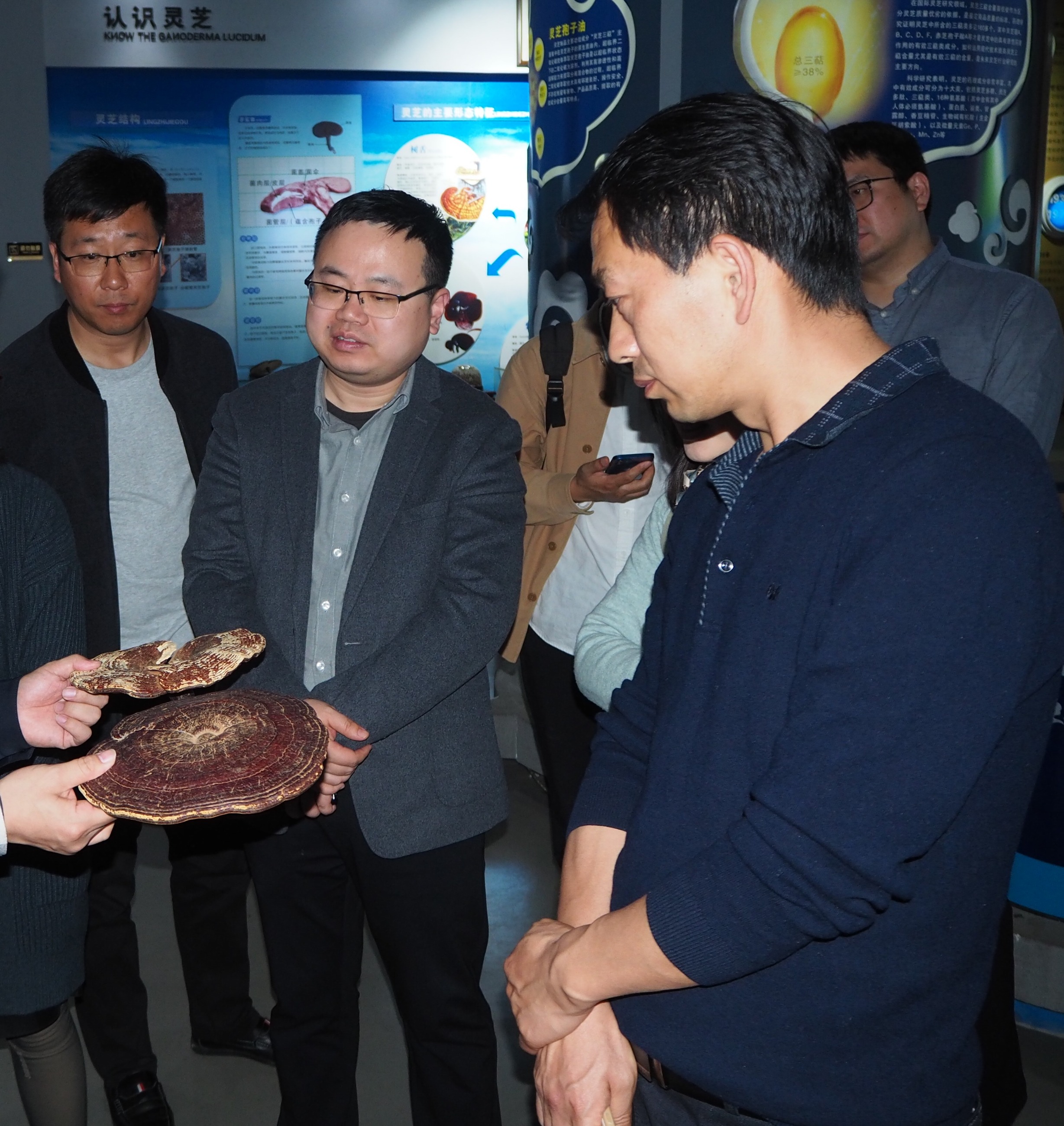 杭州亞運(yùn)會(huì)官方靈芝產(chǎn)品供應(yīng)商|杭州亞運(yùn)會(huì)官方供應(yīng)商|中國靈芝十大品牌|仙客來靈芝|仙客來靈芝破壁孢子粉|仙客來孢子油|仙客來靈芝飲片|仙客來破壁孢子粉|靈芝孢子油|孢子粉|靈芝破壁孢子粉|靈芝|中華老字號(hào) 杭州亞運(yùn)會(huì)官方靈芝產(chǎn)品供應(yīng)商|杭州亞運(yùn)會(huì)官方供應(yīng)商|中國靈芝十大品牌|仙客來靈芝|仙客來靈芝破壁孢子粉|仙客來孢子油|仙客來靈芝飲片|仙客來破壁孢子粉|靈芝孢子油|孢子粉|靈芝破壁孢子粉|靈芝|中華老字號(hào)