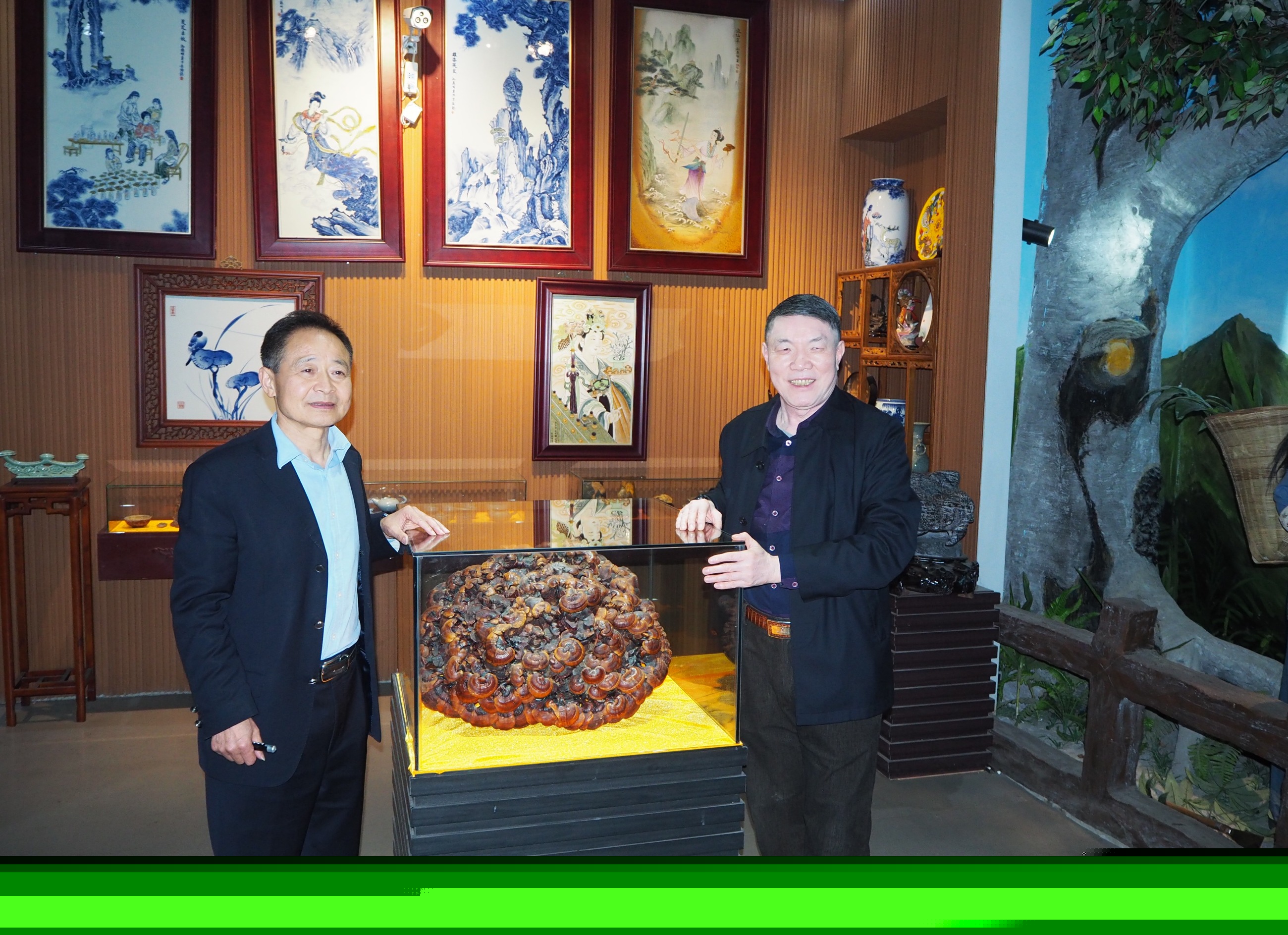 杭州亞運(yùn)會(huì)官方靈芝產(chǎn)品供應(yīng)商|杭州亞運(yùn)會(huì)官方供應(yīng)商|中國靈芝十大品牌|仙客來靈芝|仙客來靈芝破壁孢子粉|仙客來孢子油|仙客來靈芝飲片|仙客來破壁孢子粉|靈芝孢子油|孢子粉|靈芝破壁孢子粉|靈芝|中華老字號 杭州亞運(yùn)會(huì)官方靈芝產(chǎn)品供應(yīng)商|杭州亞運(yùn)會(huì)官方供應(yīng)商|中國靈芝十大品牌|仙客來靈芝|仙客來靈芝破壁孢子粉|仙客來孢子油|仙客來靈芝飲片|仙客來破壁孢子粉|靈芝孢子油|孢子粉|靈芝破壁孢子粉|靈芝|中華老字號