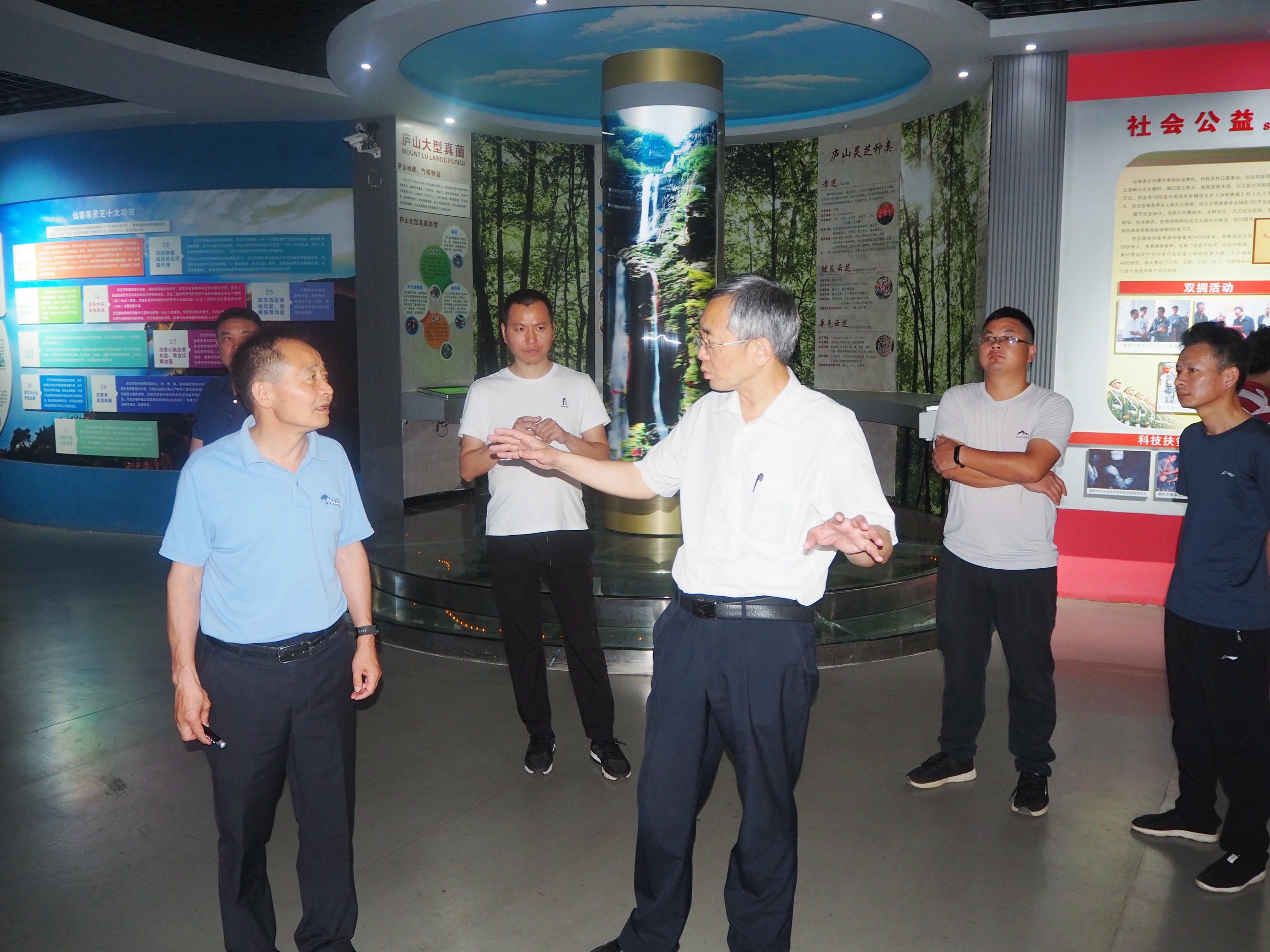 杭州亞運(yùn)會(huì)官方靈芝產(chǎn)品供應(yīng)商|杭州亞運(yùn)會(huì)官方供應(yīng)商|中國(guó)靈芝十大品牌|仙客來靈芝|仙客來靈芝破壁孢子粉|仙客來孢子油|仙客來靈芝飲片|仙客來破壁孢子粉|靈芝孢子油|孢子粉|靈芝破壁孢子粉|靈芝|中華老字號(hào) 杭州亞運(yùn)會(huì)官方靈芝產(chǎn)品供應(yīng)商|杭州亞運(yùn)會(huì)官方供應(yīng)商|中國(guó)靈芝十大品牌|仙客來靈芝|仙客來靈芝破壁孢子粉|仙客來孢子油|仙客來靈芝飲片|仙客來破壁孢子粉|靈芝孢子油|孢子粉|靈芝破壁孢子粉|靈芝|中華老字號(hào)