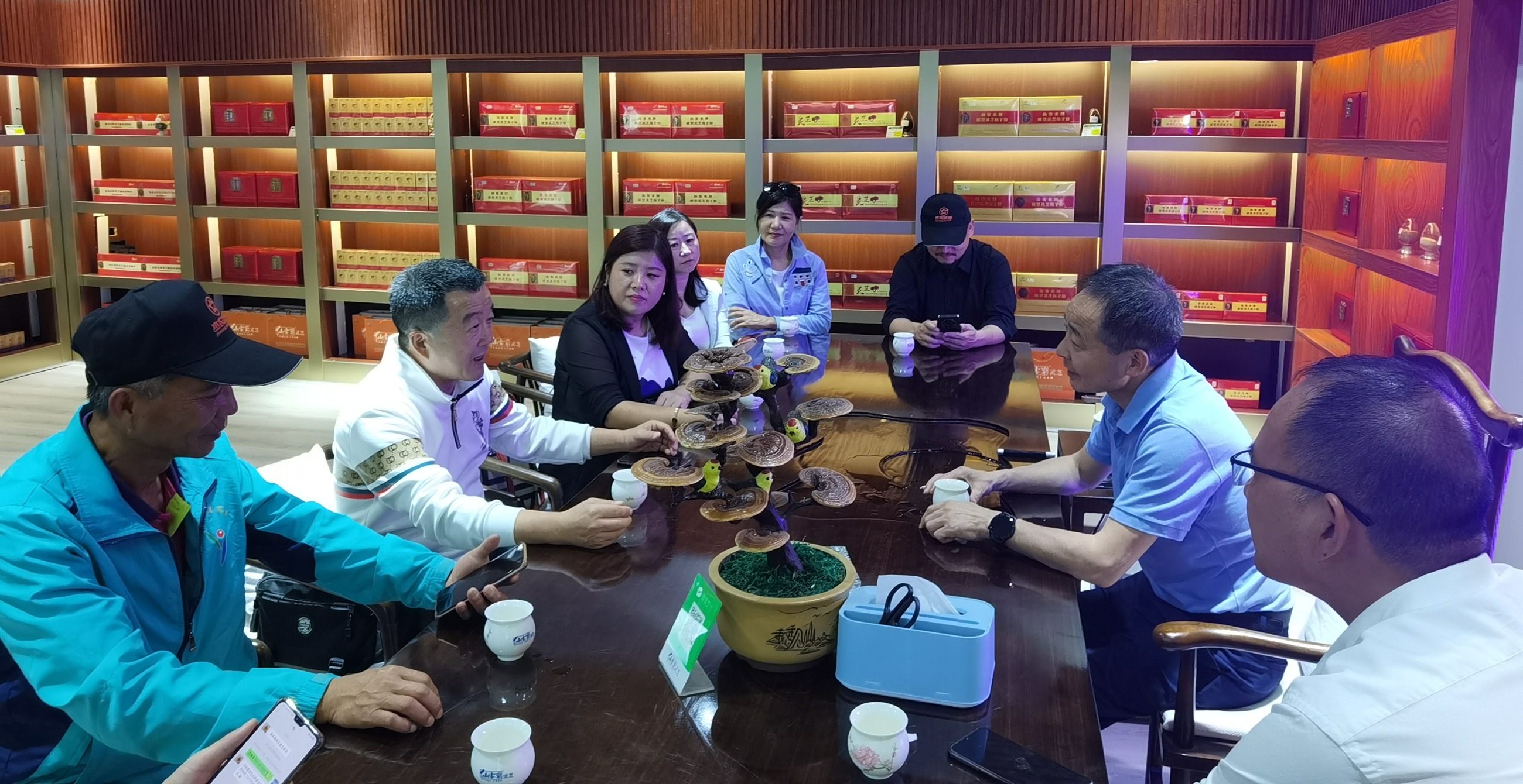 杭州亞運會官方靈芝產(chǎn)品供應商|杭州亞運會官方供應商|中國靈芝十大品牌|仙客來靈芝|仙客來靈芝破壁孢子粉|仙客來孢子油|仙客來靈芝飲片|仙客來破壁孢子粉|靈芝孢子油|孢子粉|靈芝破壁孢子粉|靈芝|中華老字號 杭州亞運會官方靈芝產(chǎn)品供應商|杭州亞運會官方供應商|中國靈芝十大品牌|仙客來靈芝|仙客來靈芝破壁孢子粉|仙客來孢子油|仙客來靈芝飲片|仙客來破壁孢子粉|靈芝孢子油|孢子粉|靈芝破壁孢子粉|靈芝|中華老字號