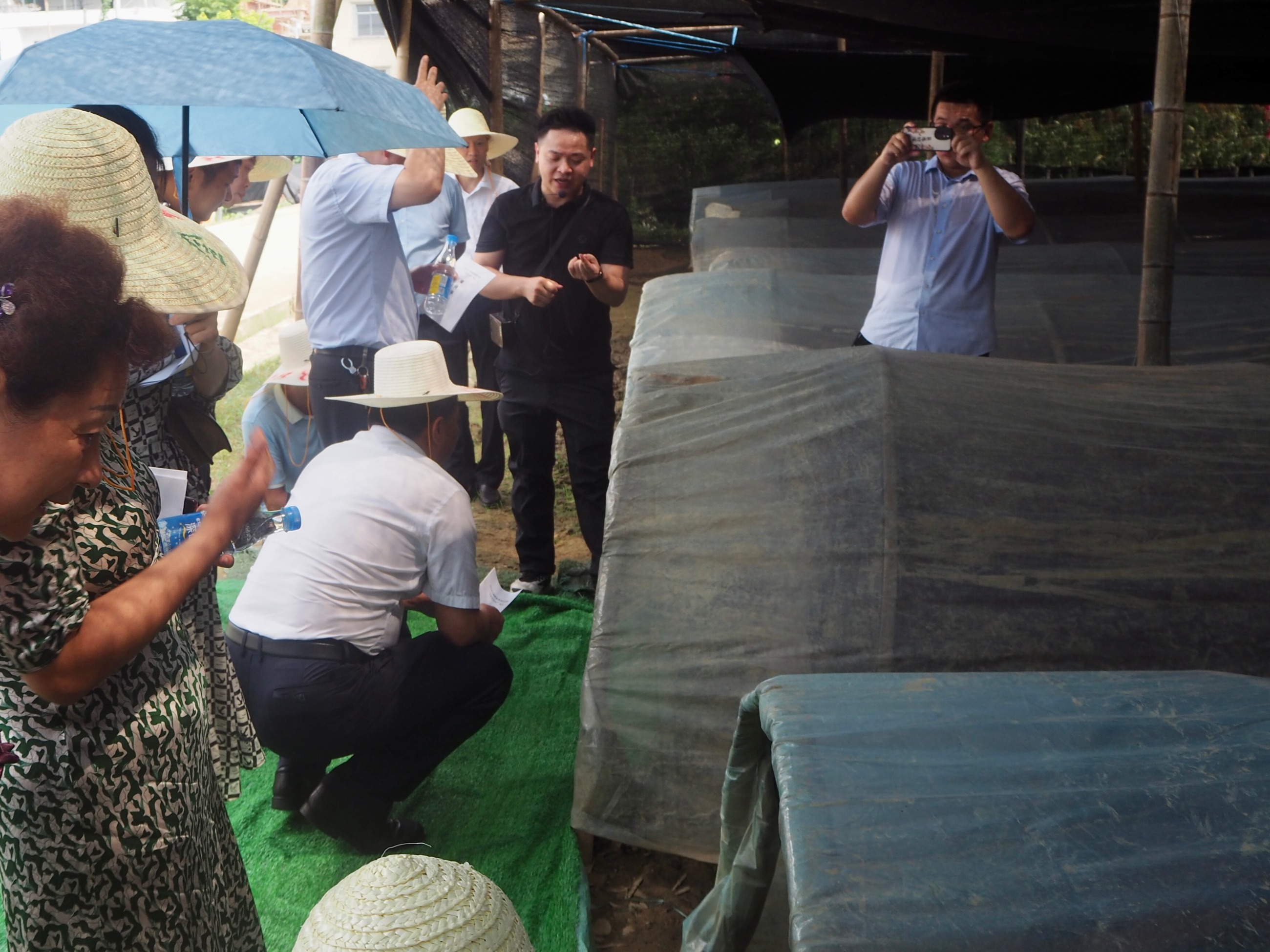 杭州亞運會官方靈芝產(chǎn)品供應商|杭州亞運會官方供應商|中國靈芝十大品牌|仙客來靈芝|仙客來靈芝破壁孢子粉|仙客來孢子油|仙客來靈芝飲片|仙客來破壁孢子粉|靈芝孢子油|孢子粉|靈芝破壁孢子粉|靈芝|中華老字號 杭州亞運會官方靈芝產(chǎn)品供應商|杭州亞運會官方供應商|中國靈芝十大品牌|仙客來靈芝|仙客來靈芝破壁孢子粉|仙客來孢子油|仙客來靈芝飲片|仙客來破壁孢子粉|靈芝孢子油|孢子粉|靈芝破壁孢子粉|靈芝|中華老字號