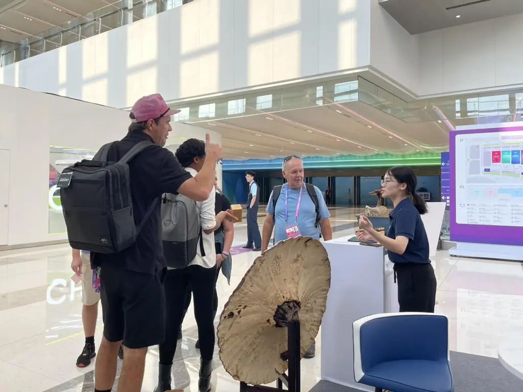 杭州亞運(yùn)會(huì)官方靈芝產(chǎn)品供應(yīng)商|杭州亞運(yùn)會(huì)官方供應(yīng)商|中國(guó)靈芝十大品牌|仙客來靈芝|仙客來靈芝破壁孢子粉|仙客來孢子油|仙客來靈芝飲片|仙客來破壁孢子粉|靈芝孢子油|孢子粉|靈芝破壁孢子粉|靈芝|中華老字號(hào) 杭州亞運(yùn)會(huì)官方靈芝產(chǎn)品供應(yīng)商|杭州亞運(yùn)會(huì)官方供應(yīng)商|中國(guó)靈芝十大品牌|仙客來靈芝|仙客來靈芝破壁孢子粉|仙客來孢子油|仙客來靈芝飲片|仙客來破壁孢子粉|靈芝孢子油|孢子粉|靈芝破壁孢子粉|靈芝|中華老字號(hào)