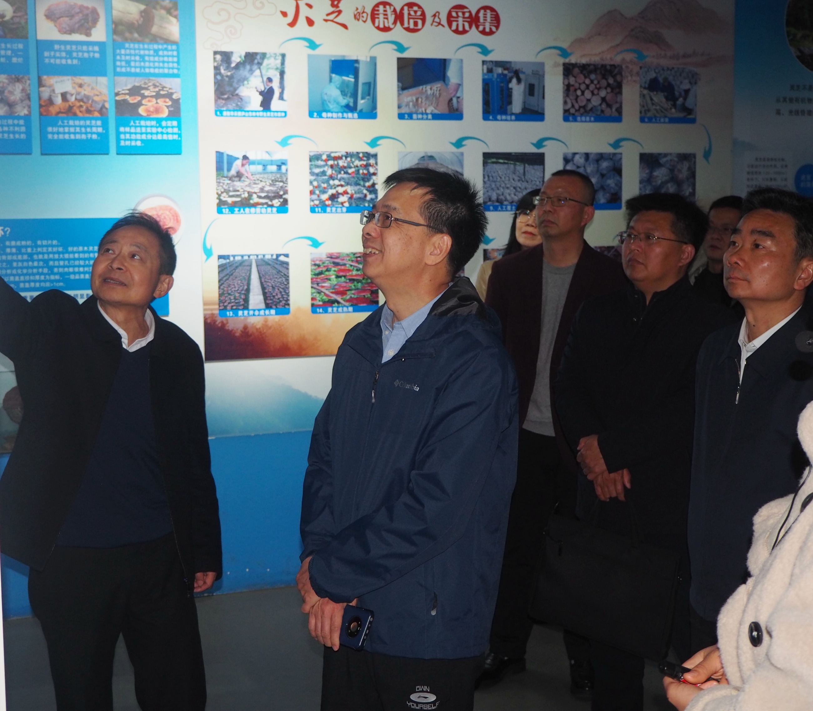 杭州亞運(yùn)會官方靈芝產(chǎn)品供應(yīng)商|杭州亞運(yùn)會官方供應(yīng)商|中國靈芝十大品牌|仙客來靈芝|仙客來靈芝破壁孢子粉|仙客來孢子油|仙客來靈芝飲片|仙客來破壁孢子粉|靈芝孢子油|孢子粉|靈芝破壁孢子粉|靈芝|中華老字號 杭州亞運(yùn)會官方靈芝產(chǎn)品供應(yīng)商|杭州亞運(yùn)會官方供應(yīng)商|中國靈芝十大品牌|仙客來靈芝|仙客來靈芝破壁孢子粉|仙客來孢子油|仙客來靈芝飲片|仙客來破壁孢子粉|靈芝孢子油|孢子粉|靈芝破壁孢子粉|靈芝|中華老字號