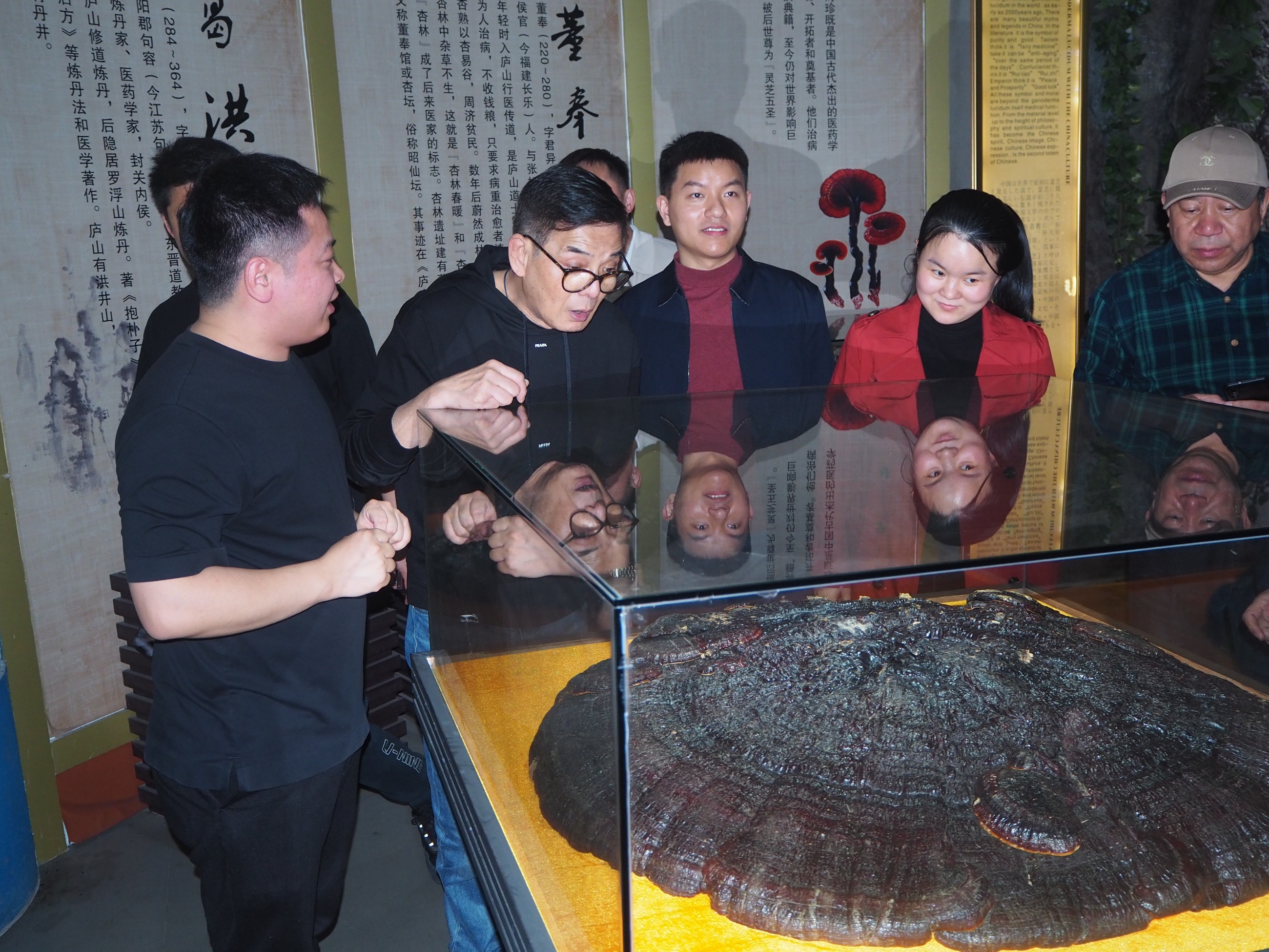 杭州亞運(yùn)會(huì)官方靈芝產(chǎn)品供應(yīng)商|杭州亞運(yùn)會(huì)官方供應(yīng)商|中國靈芝十大品牌|仙客來靈芝|仙客來靈芝破壁孢子粉|仙客來孢子油|仙客來靈芝飲片|仙客來破壁孢子粉|靈芝孢子油|孢子粉|靈芝破壁孢子粉|靈芝|中華老字號(hào) 杭州亞運(yùn)會(huì)官方靈芝產(chǎn)品供應(yīng)商|杭州亞運(yùn)會(huì)官方供應(yīng)商|中國靈芝十大品牌|仙客來靈芝|仙客來靈芝破壁孢子粉|仙客來孢子油|仙客來靈芝飲片|仙客來破壁孢子粉|靈芝孢子油|孢子粉|靈芝破壁孢子粉|靈芝|中華老字號(hào)