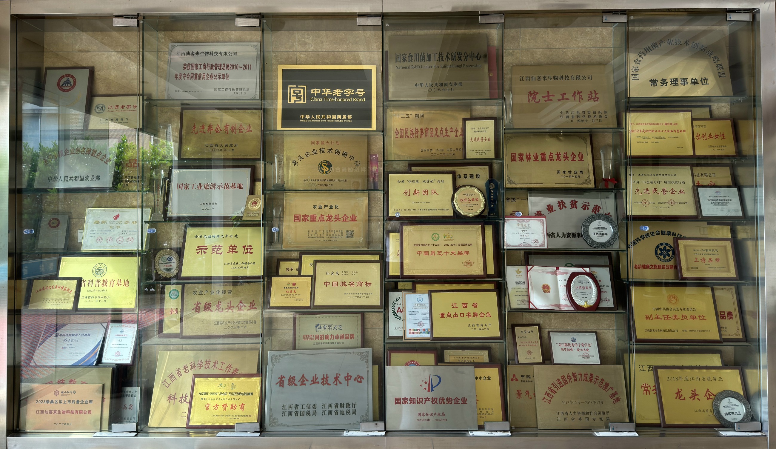 杭州亞運會官方靈芝產(chǎn)品供應商|杭州亞運會官方供應商|中國靈芝十大品牌|仙客來靈芝|仙客來靈芝破壁孢子粉|仙客來孢子油|仙客來靈芝飲片|仙客來破壁孢子粉|靈芝孢子油|孢子粉|靈芝破壁孢子粉|靈芝|中華老字號 杭州亞運會官方靈芝產(chǎn)品供應商|杭州亞運會官方供應商|中國靈芝十大品牌|仙客來靈芝|仙客來靈芝破壁孢子粉|仙客來孢子油|仙客來靈芝飲片|仙客來破壁孢子粉|靈芝孢子油|孢子粉|靈芝破壁孢子粉|靈芝|中華老字號